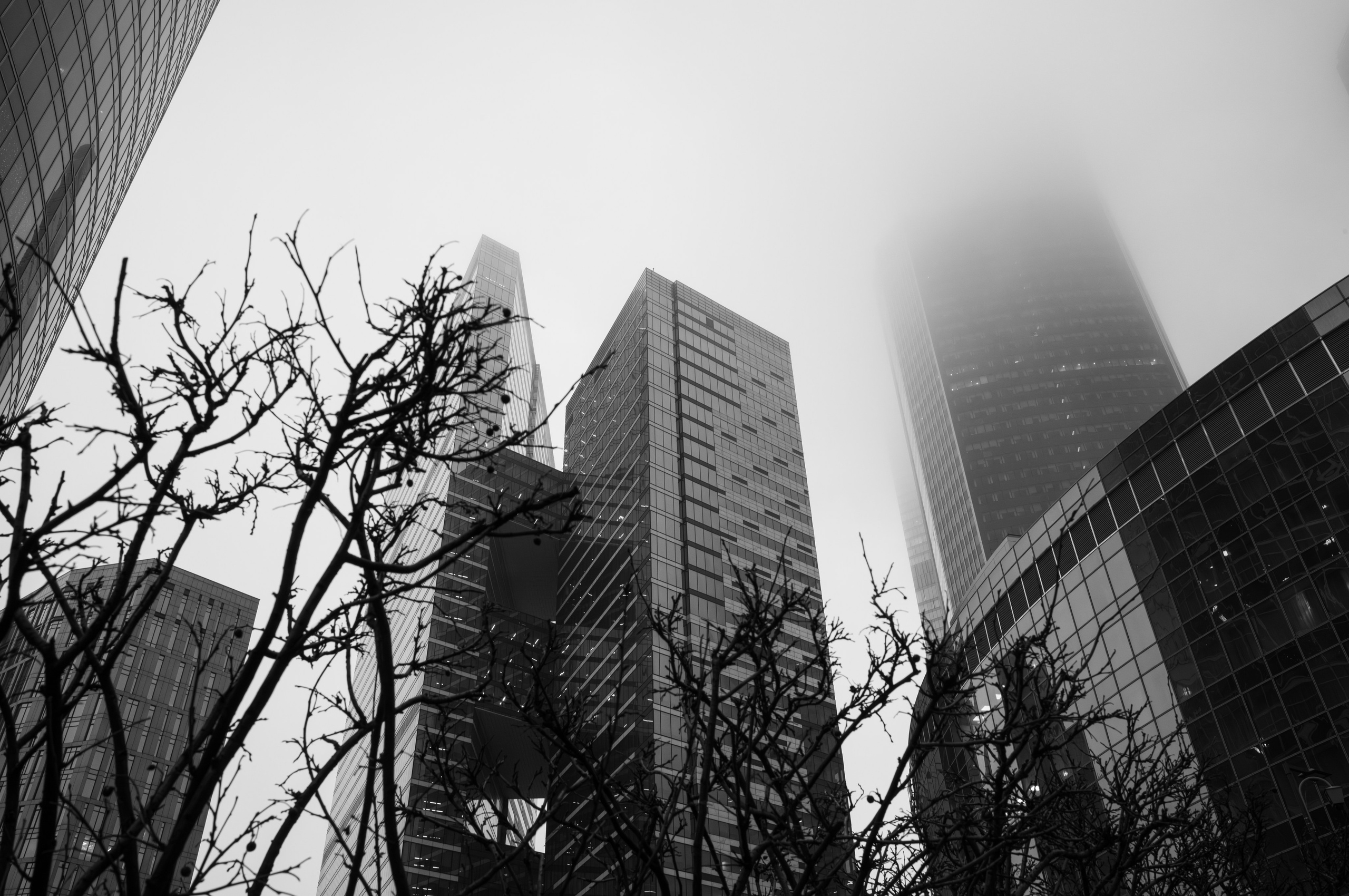 Москва-Сити в тумане