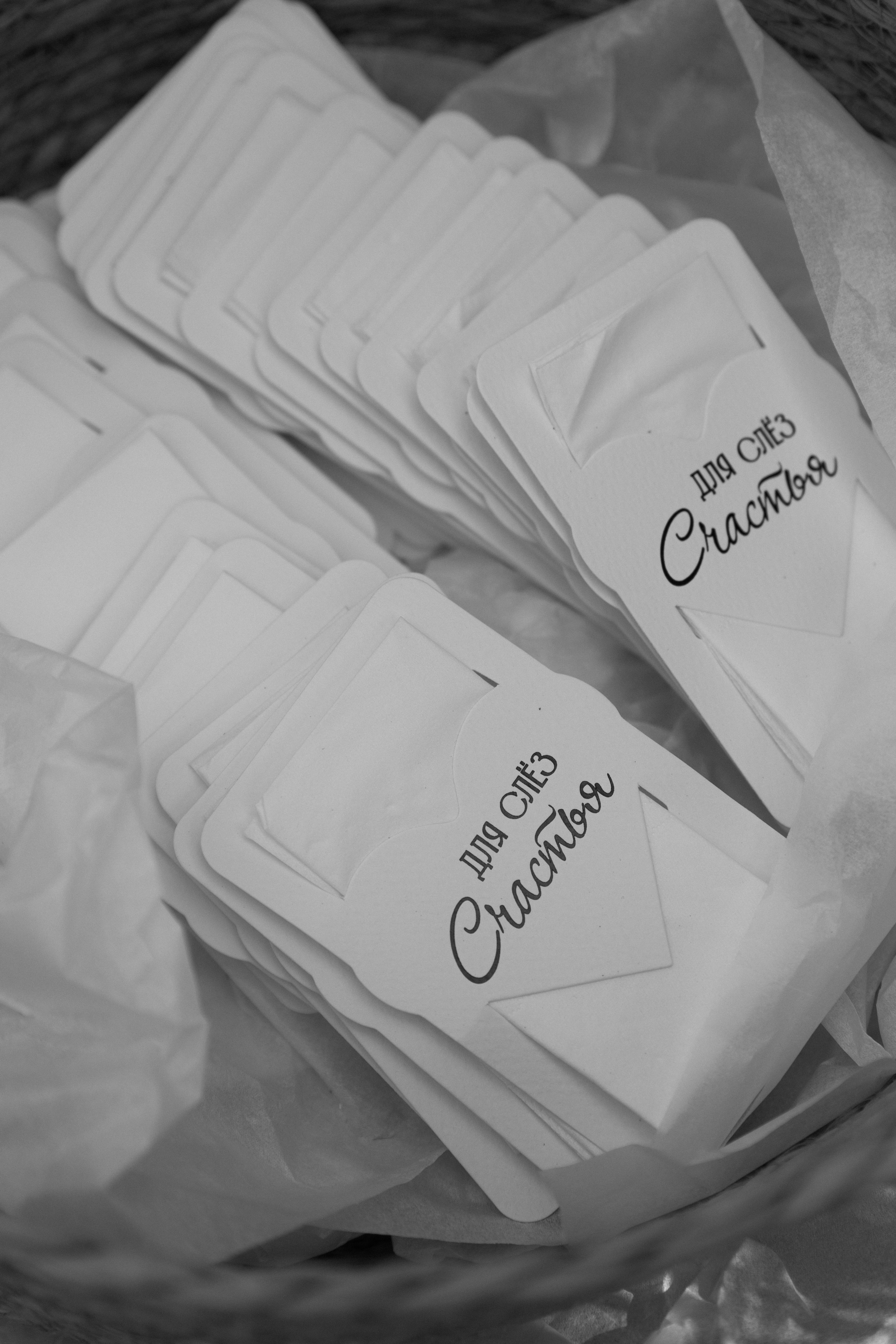 Александр и Дарья. Свадебный фотограф в Пятигорске и КМВ Софья Аджикеримова