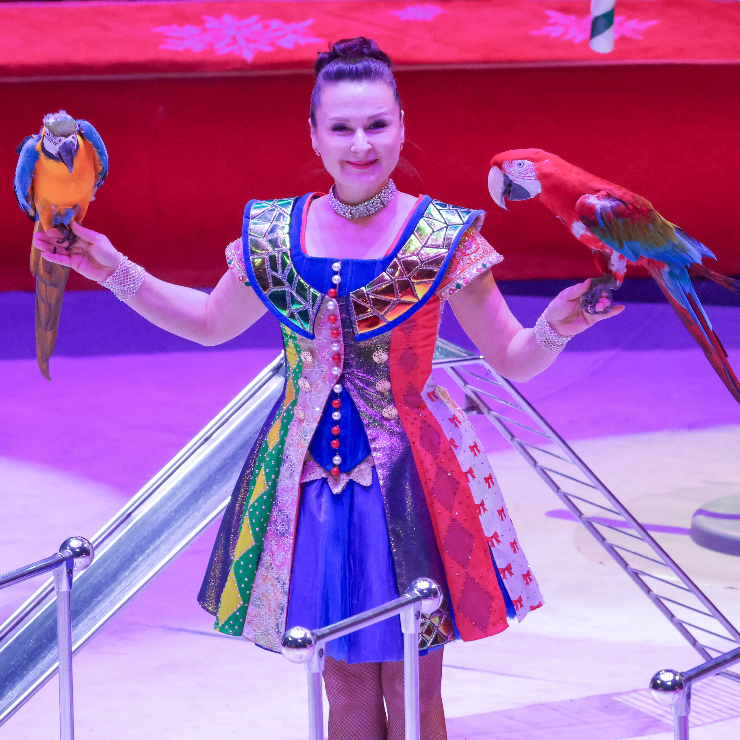 Цирк. Фотограф Дмитрий Алексеев