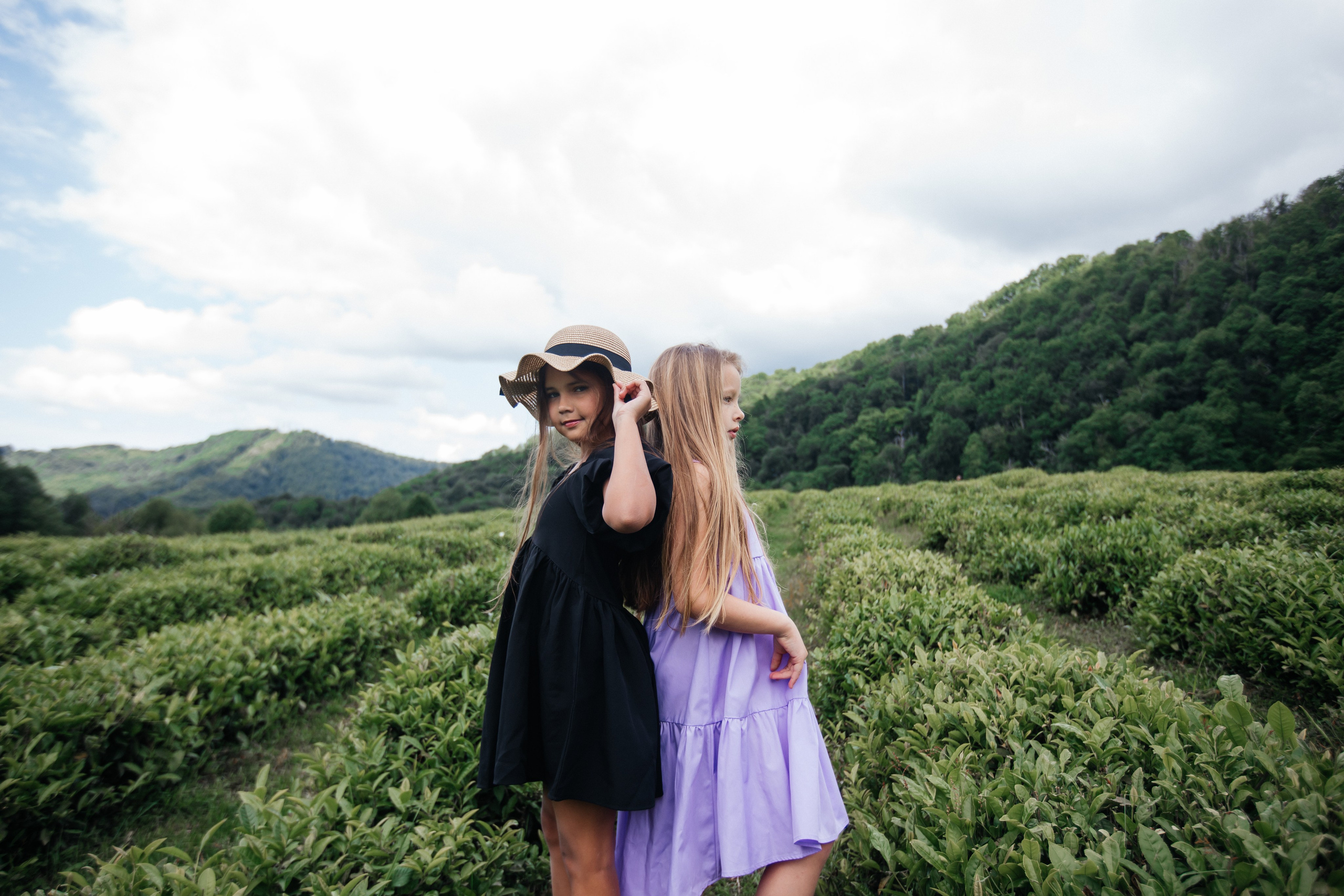 Tea plantation. Efimova Model Agency