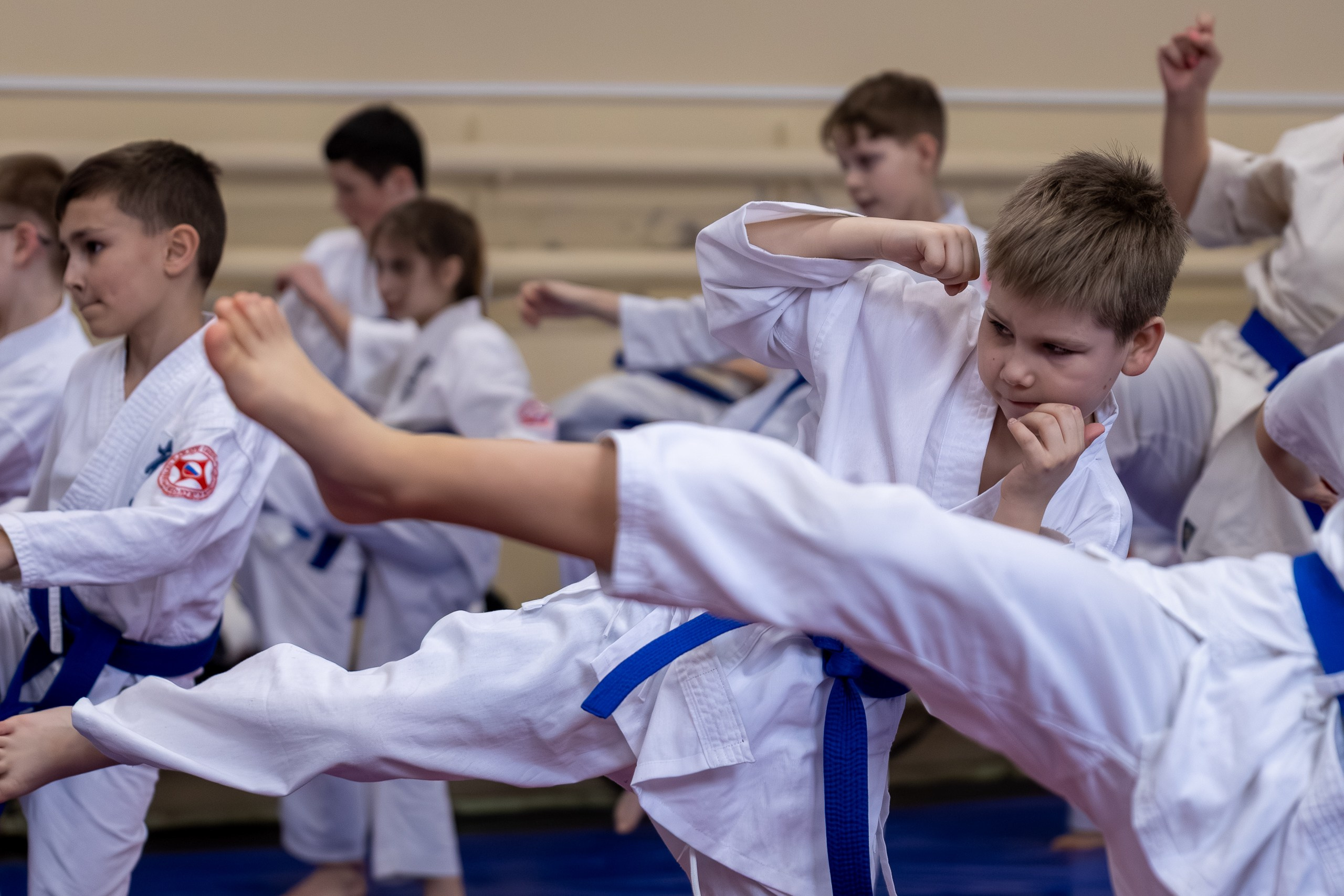Открытый урок по карате февраль 2026. Главная