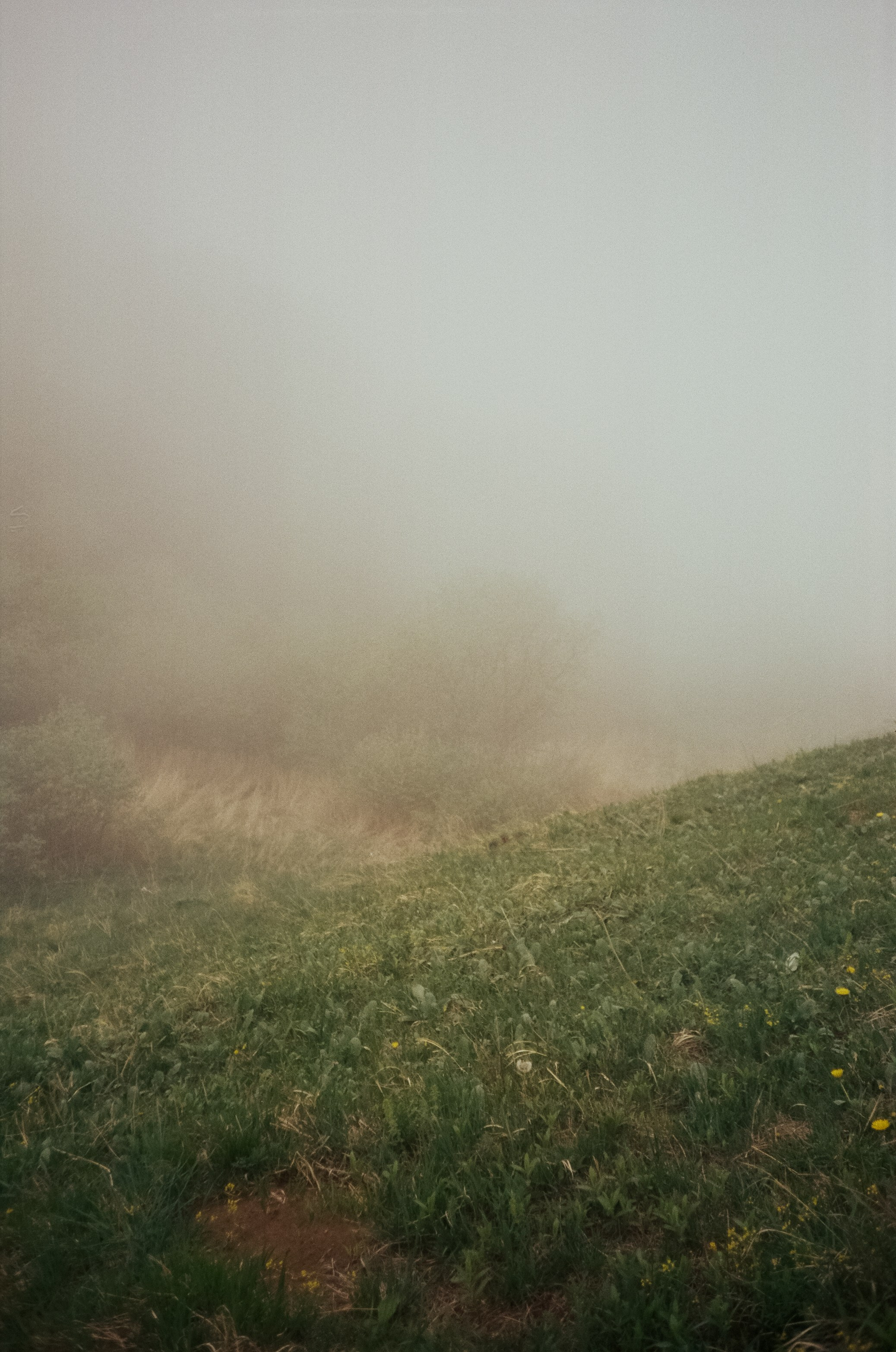 Дорога к Джилы-Су и лошадки в тумане. Фотограф-документалист Мария Осокина