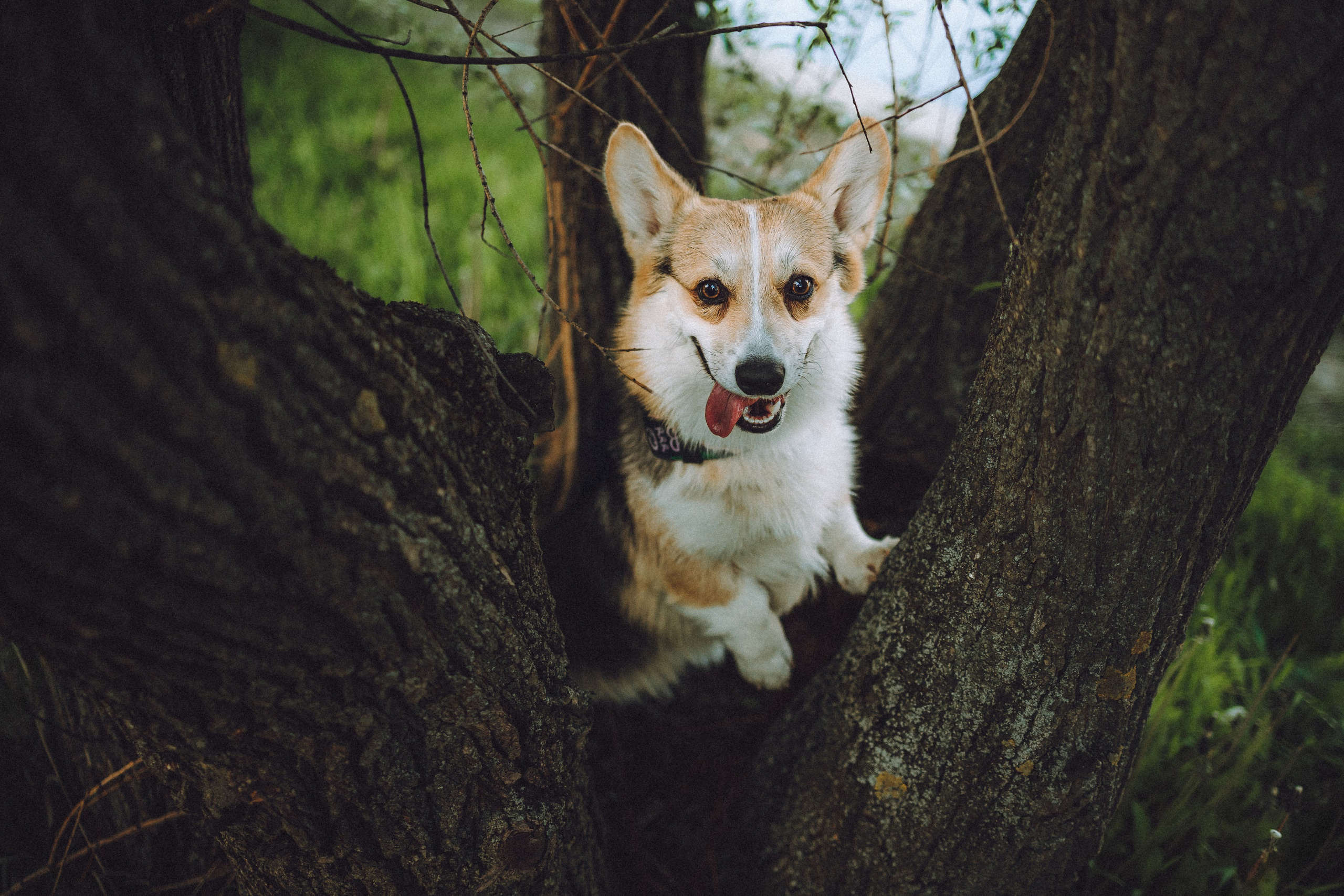 Илай, Зайка и их семья
