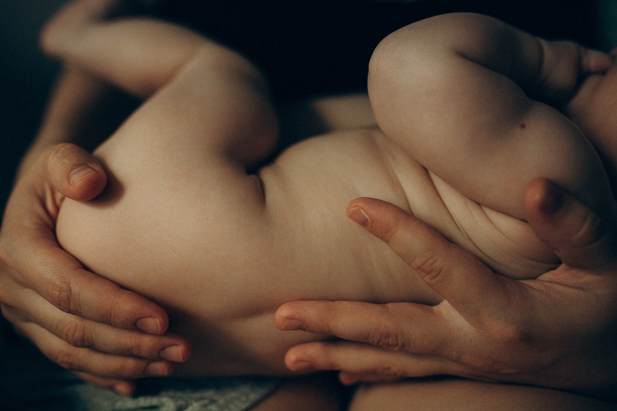 Дана Нелла. Семейный фотограф в Минске и РБ Стеликова Анна