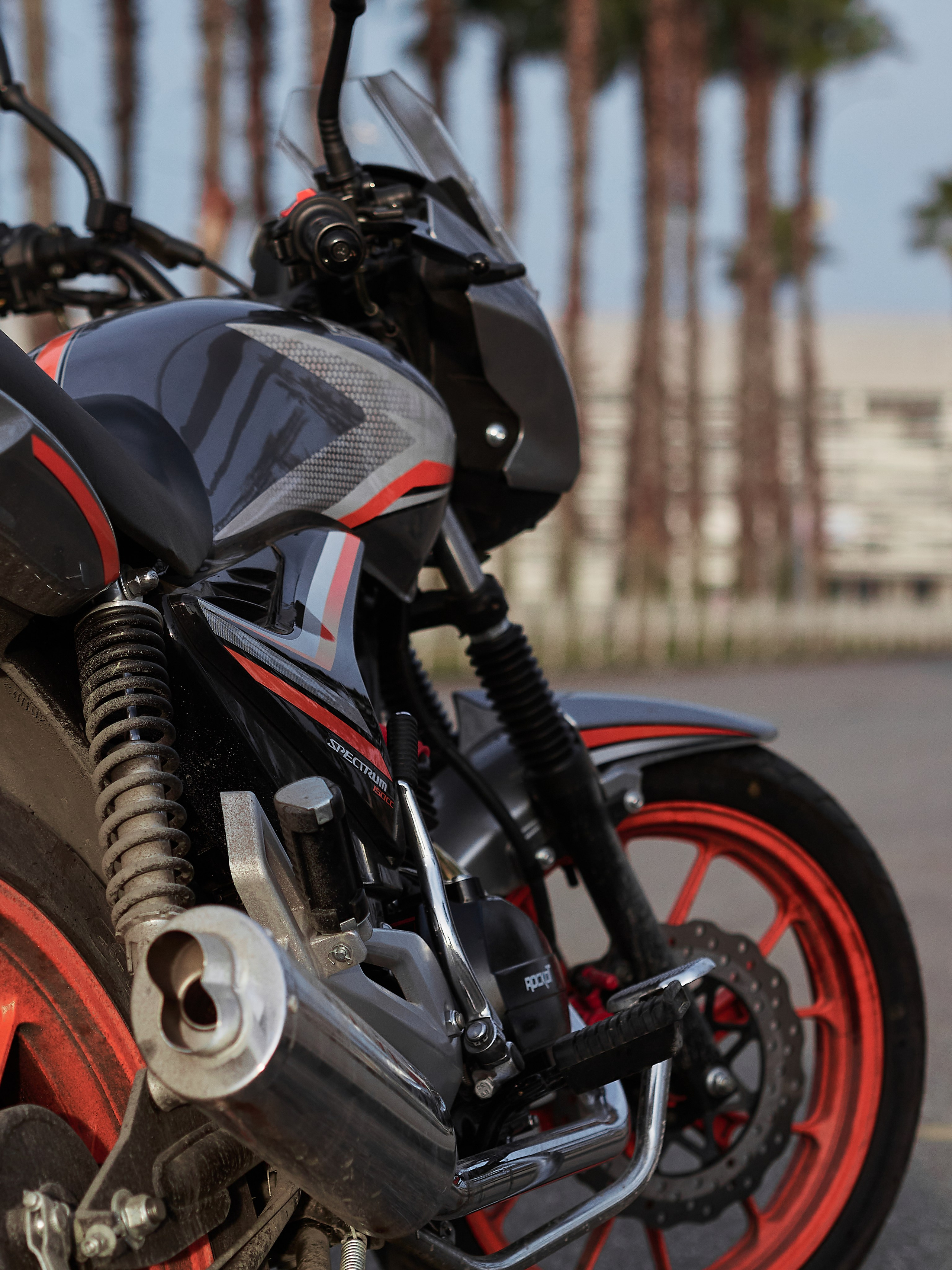 Личная съемка — Олимпийский парк. Фотограф в Сочи