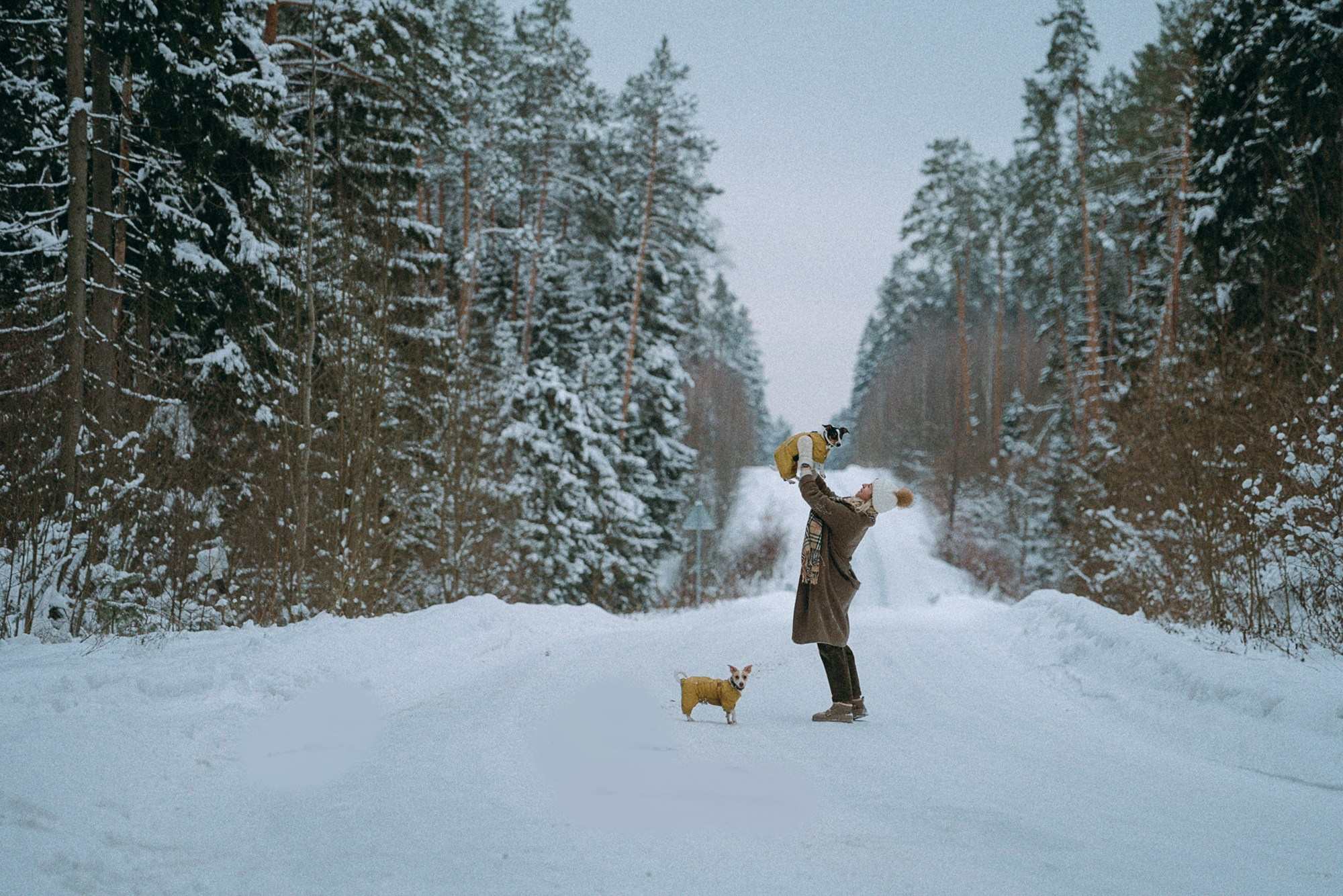 Алина, Ваниль и Элис. Фотограф анималист в Москве и Санкт-Петербурге Свиридова Анна