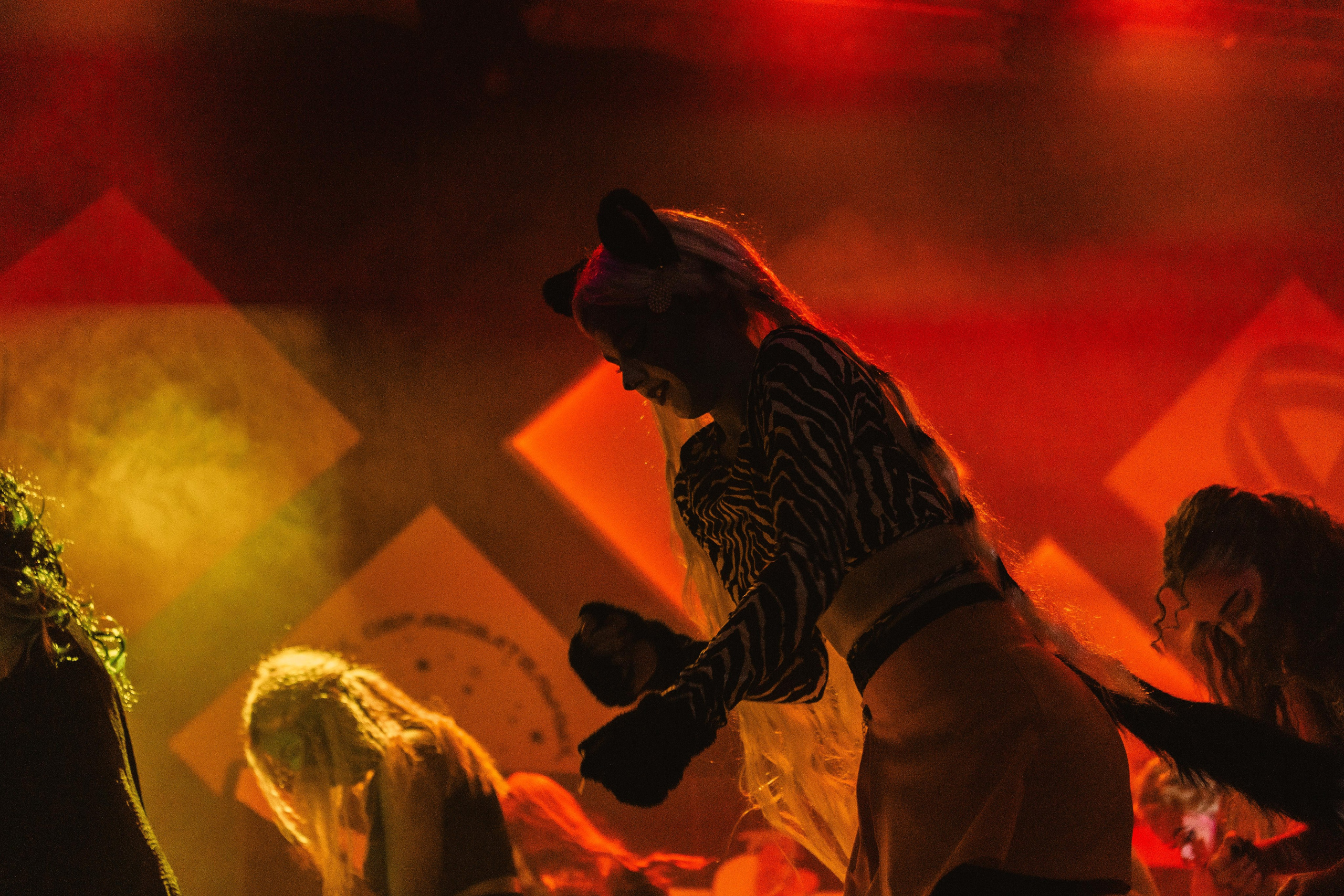 Студвесна 2025 — 50/50. KiPPER Gallery — Фотограф