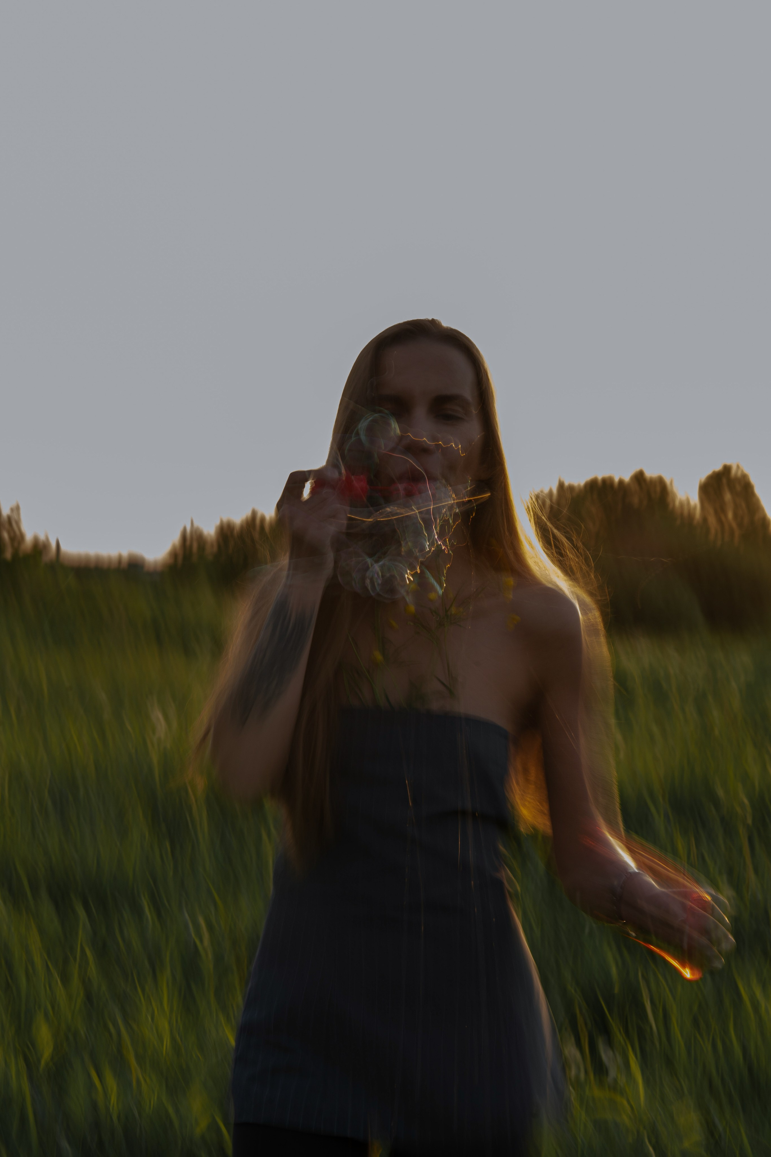 закатный свет на летнем поле