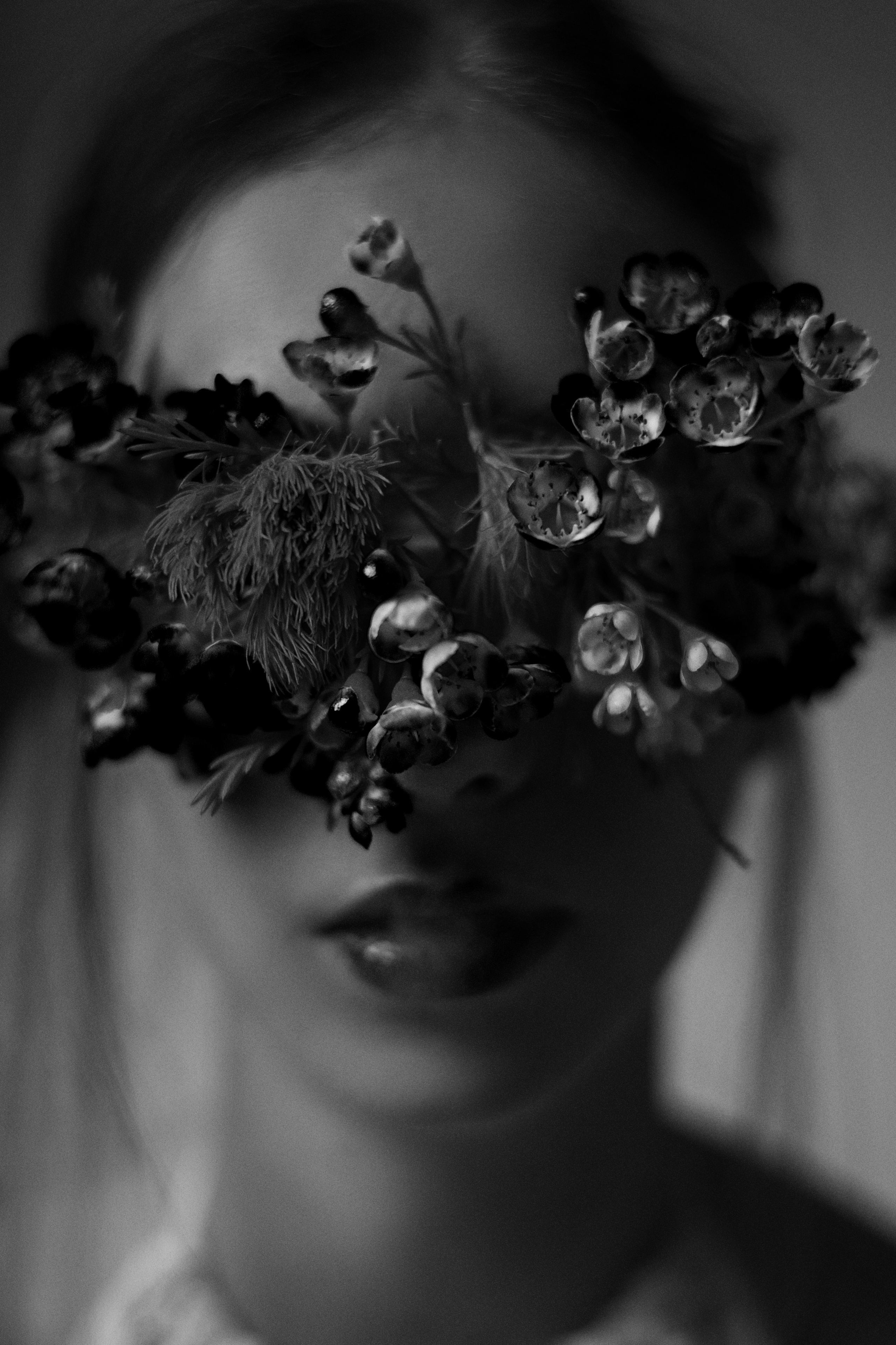 фотограф краснознаменск московская область