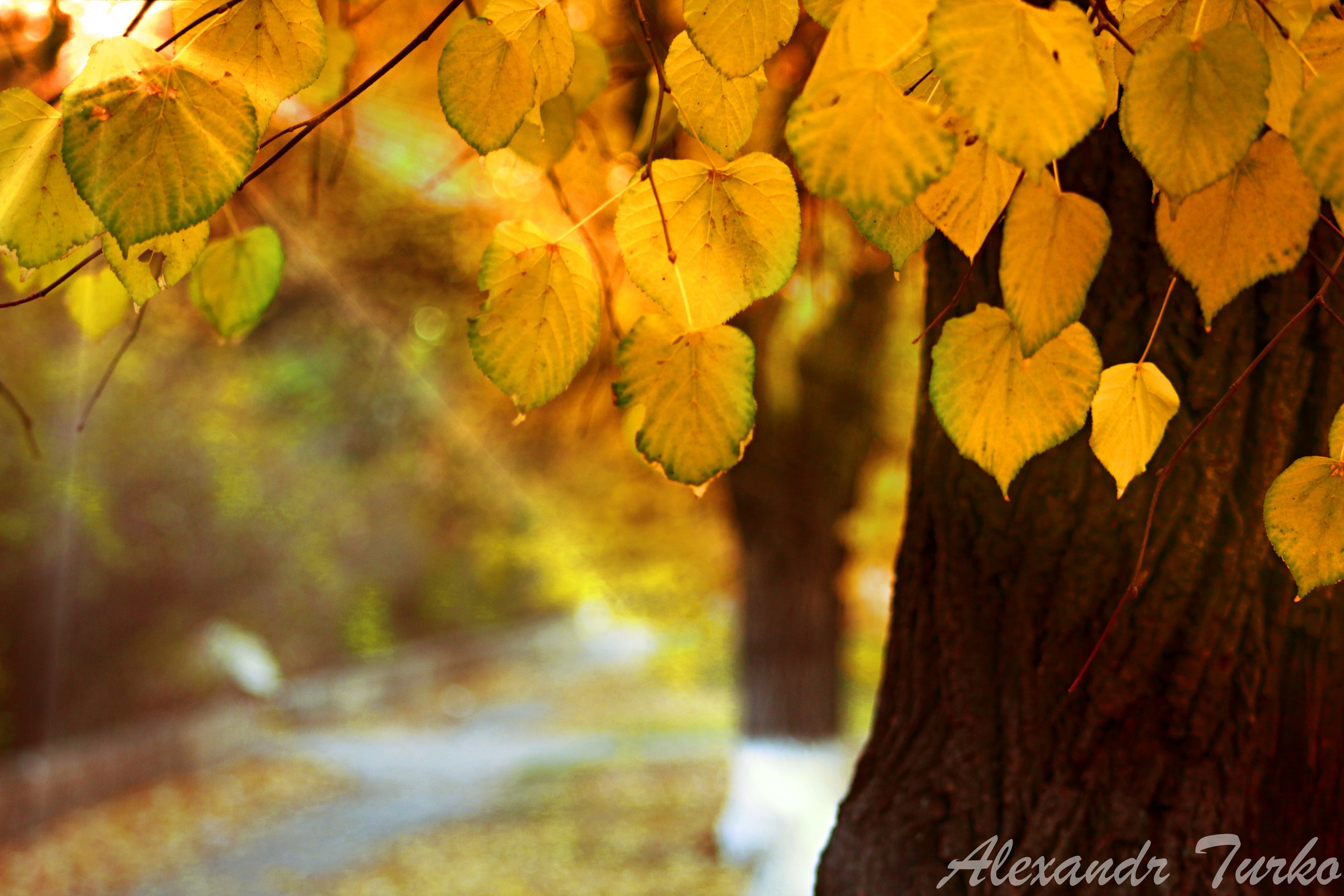 Пейзажи. Фотограф из Донецка Александр Турко