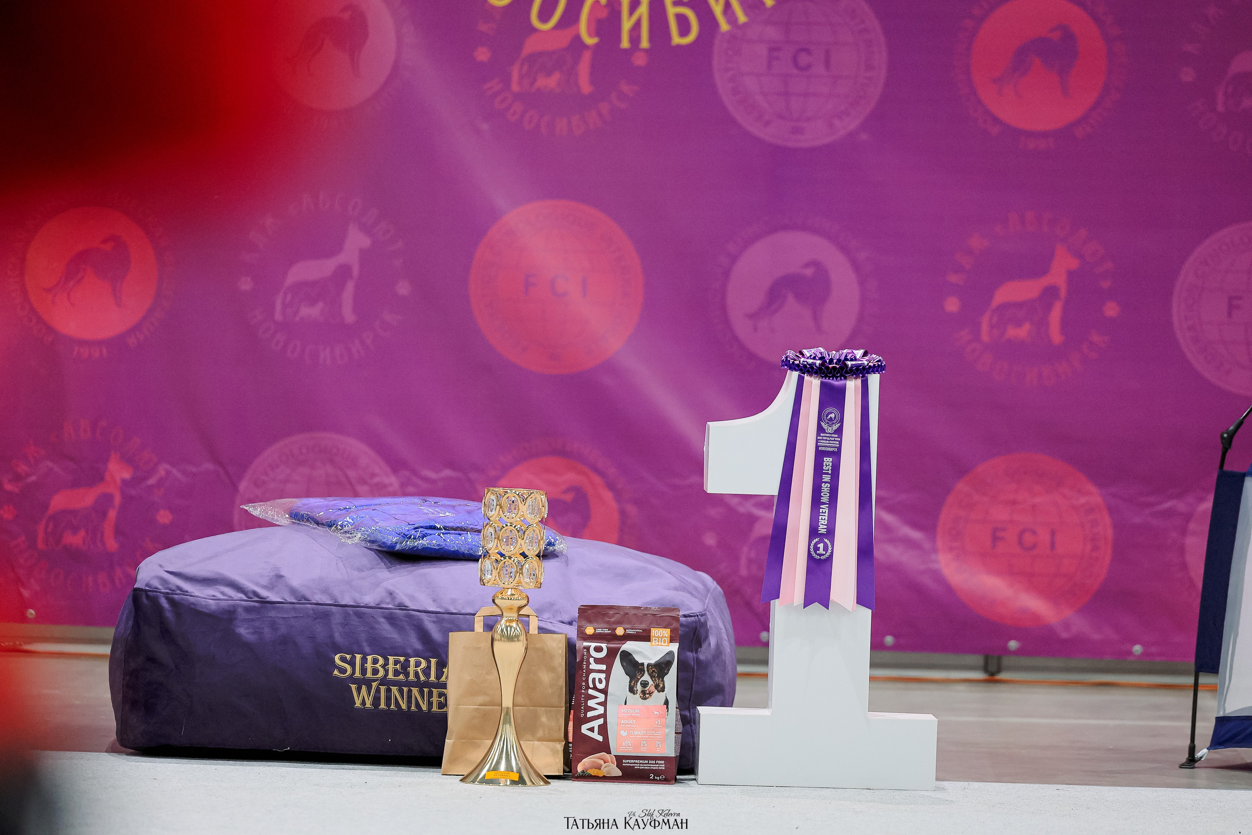 выставка собак в Новосибирске ABSOLUT WINNER-2026, Рейтинговая выставка собак