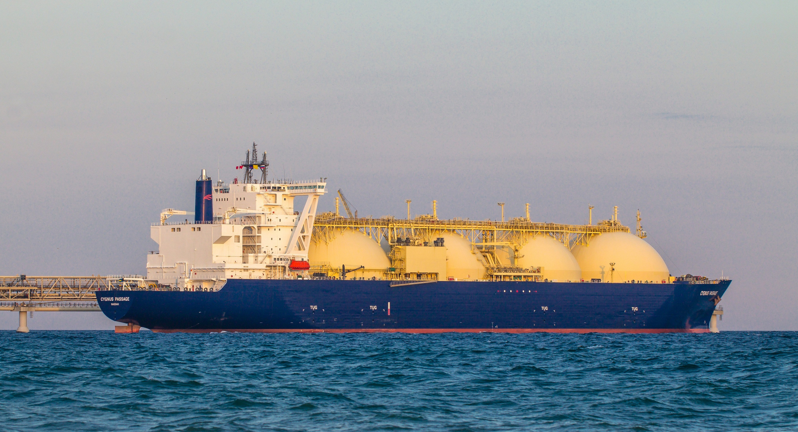 О.Сахалин. Фотограф. г. Южно-Сахалинск. Олег Толстов