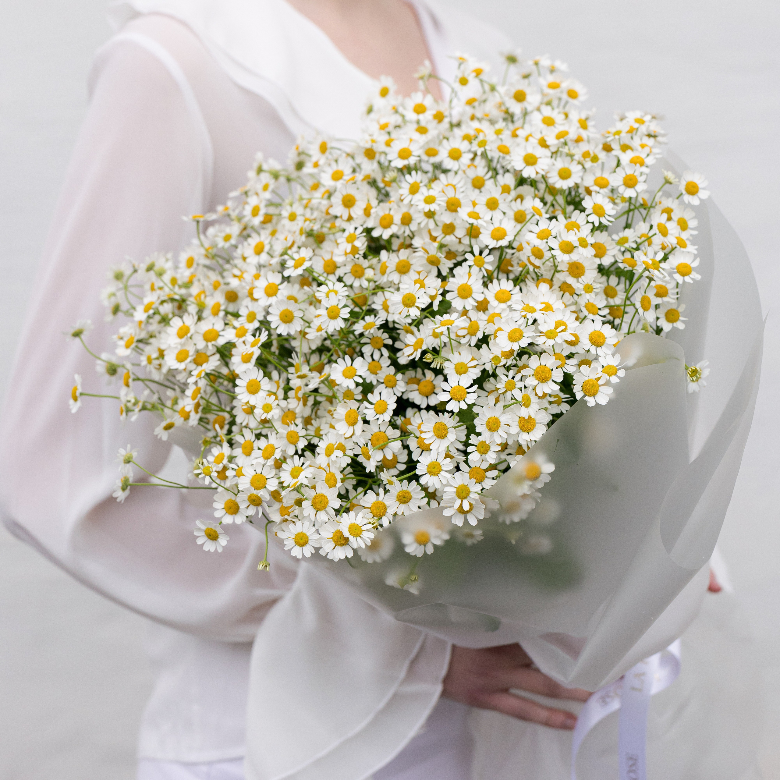 LA ROSE. Фотограф Москва, МО, СПБ