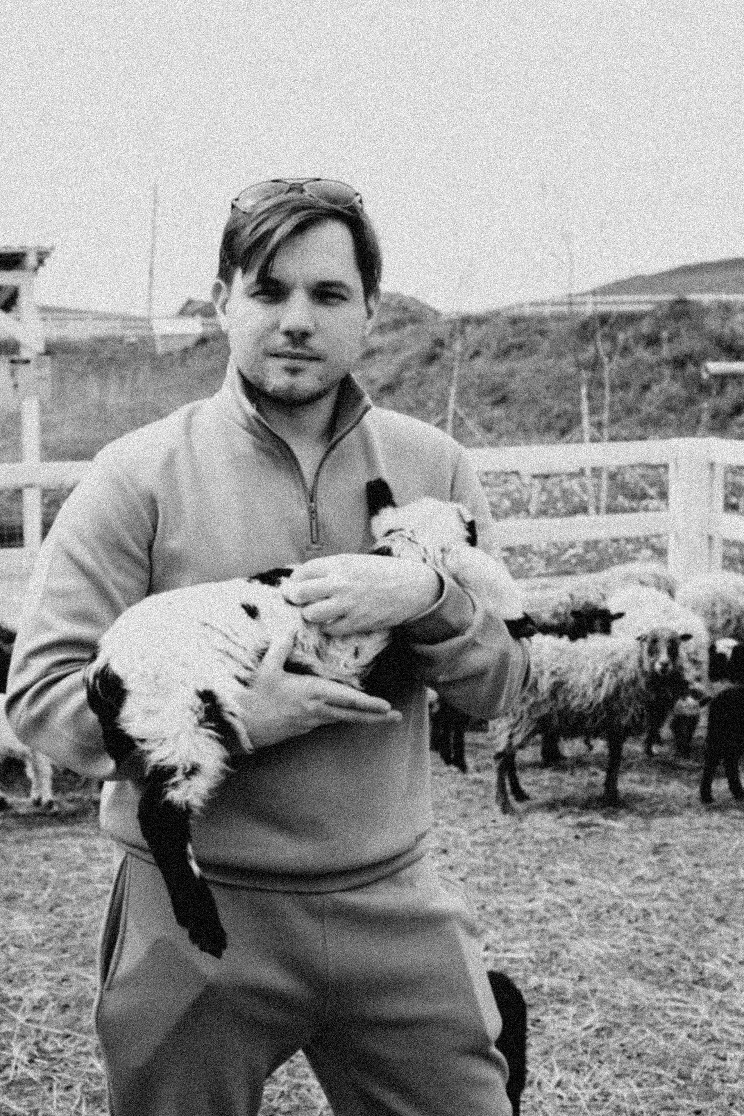 Ферма Альпак. Профессиональный фотограф, Санкт-Петербург — Виктория Богомолова