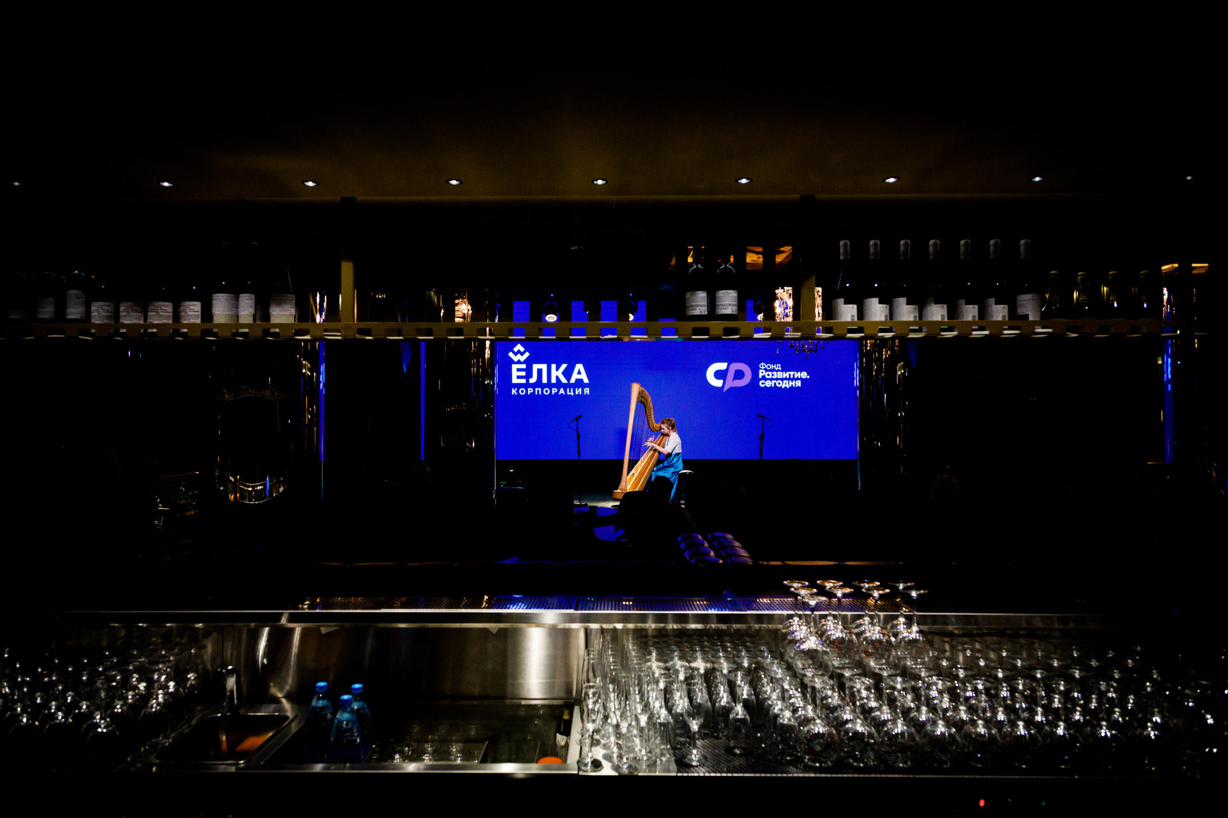 Сборный отчёт творческих вечеров Фонда Ёлка.Развитие. Бизнес фотограф в Новосибирске Александр Рощин