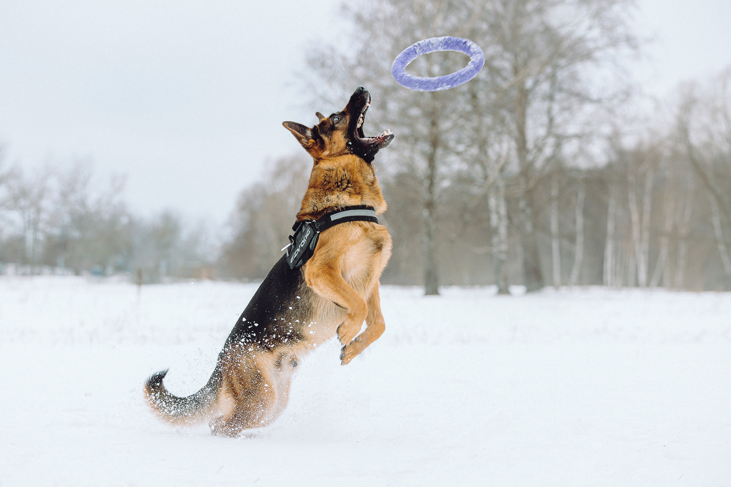 Джим, Лила и их семья