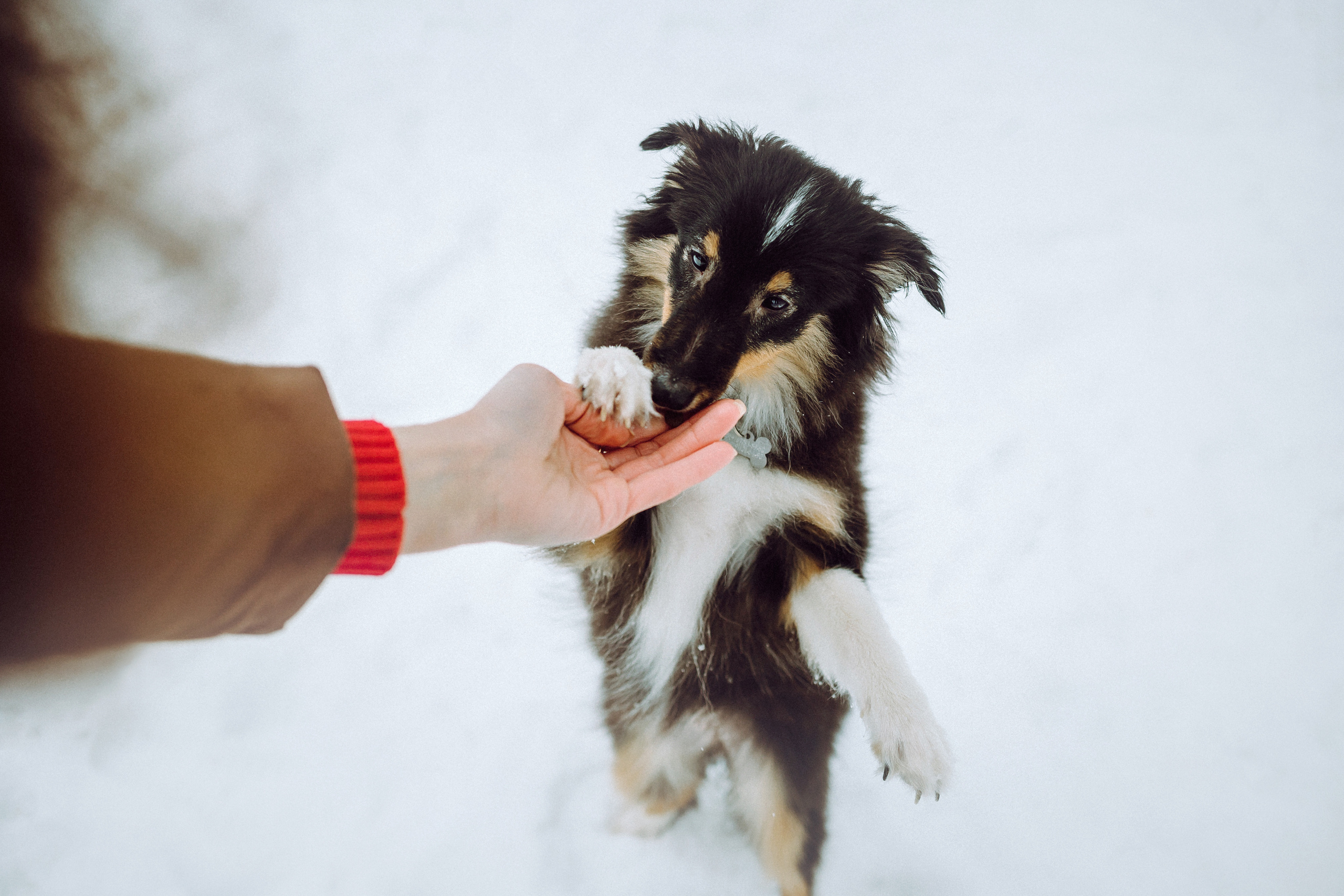 Джим, Лила и их семья
