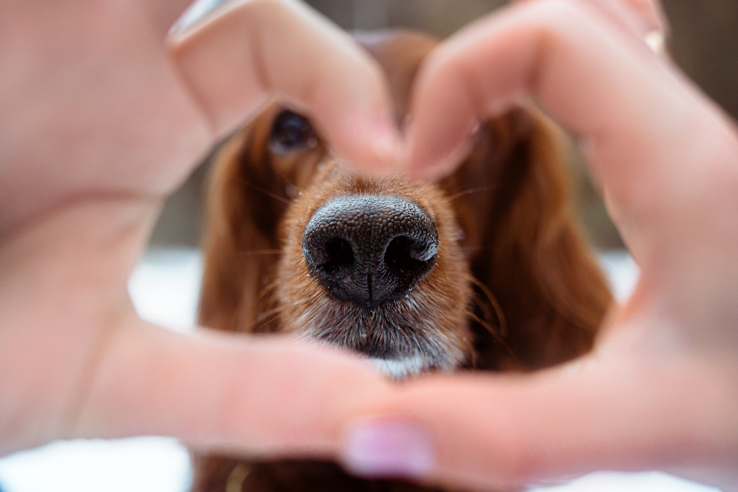 День Рождения Джерри