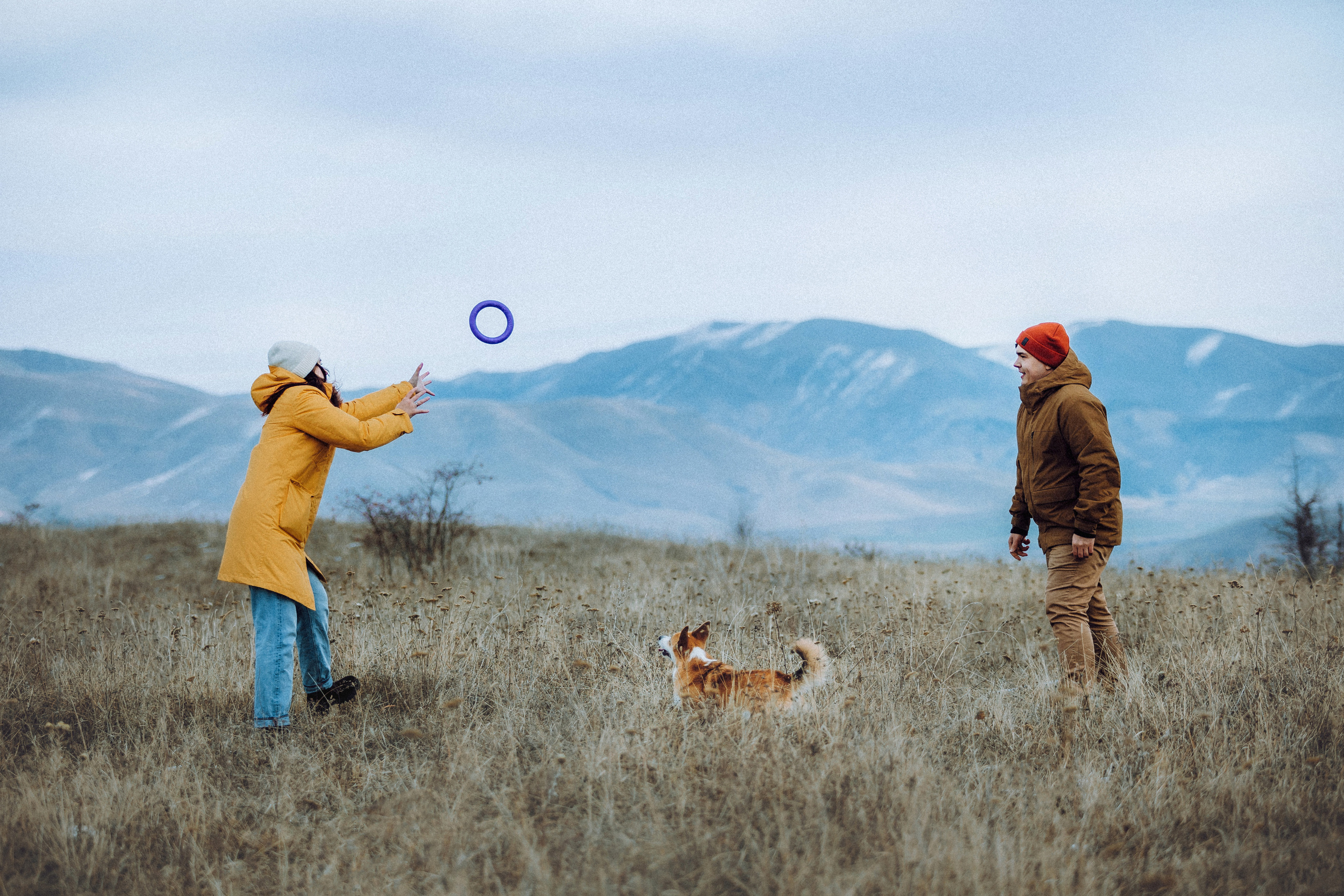 Фотосессия корги Дийкстры, Маши и Жени