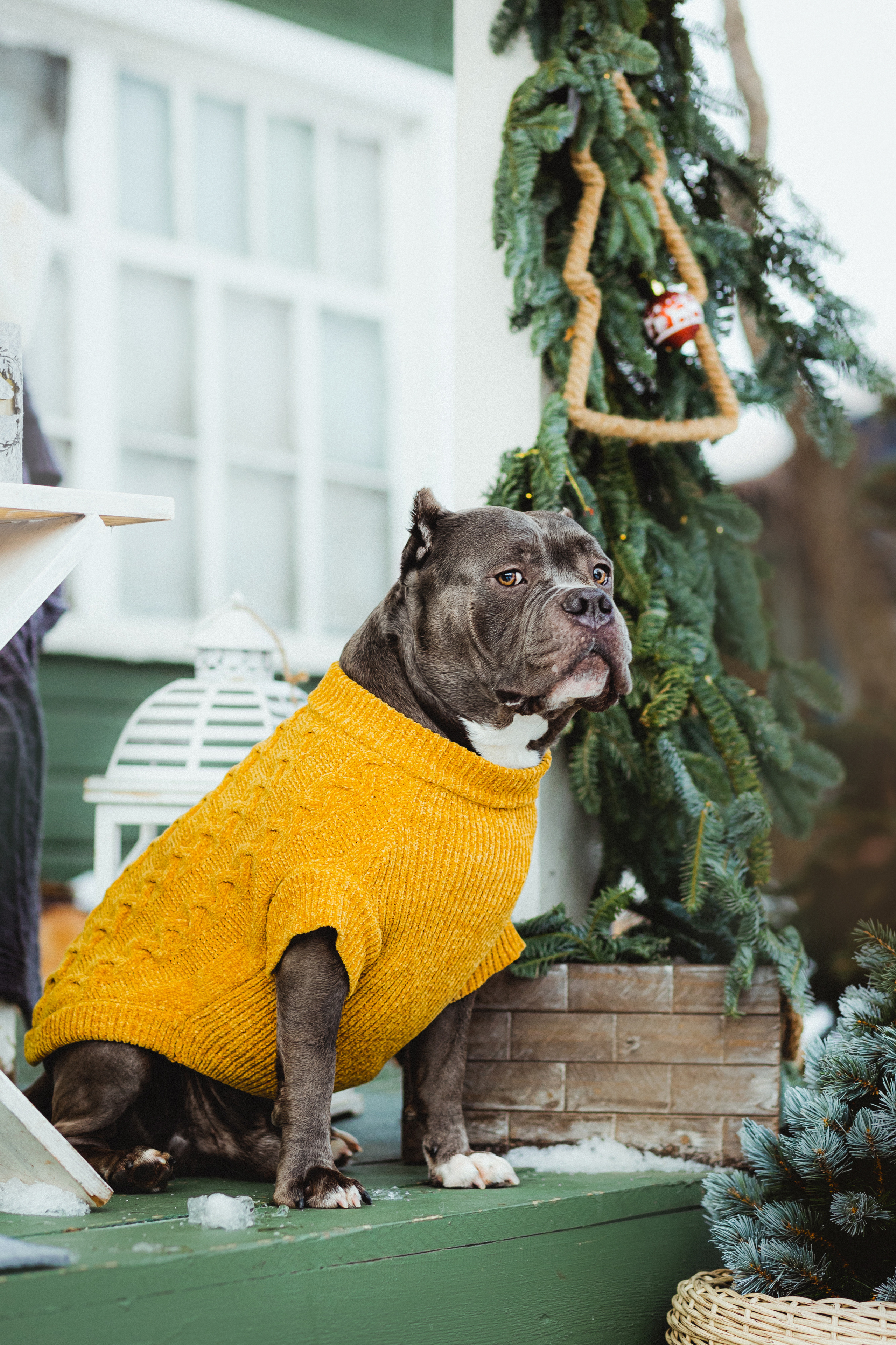 Маша и Халк