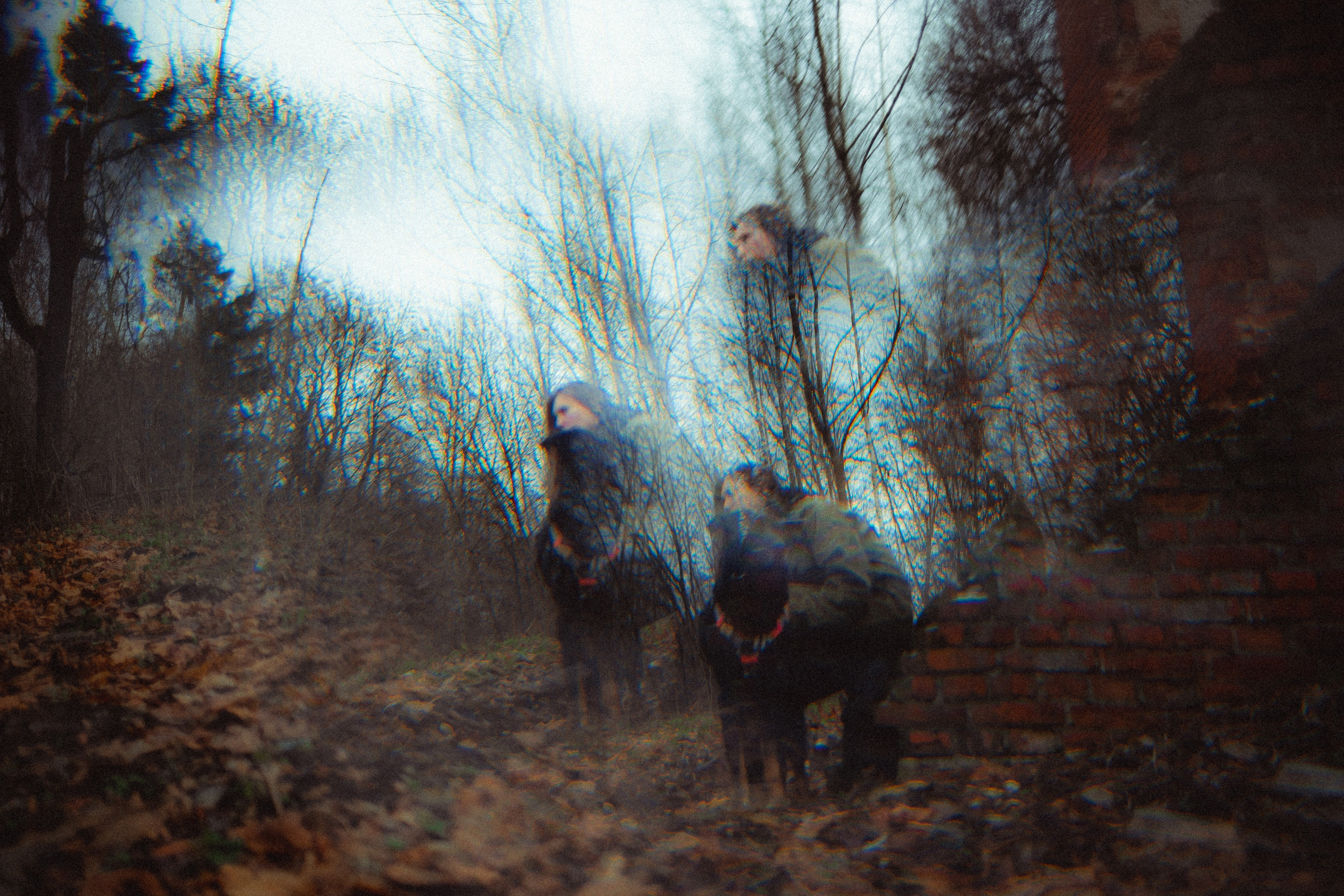 Алена, Фелек и Камю