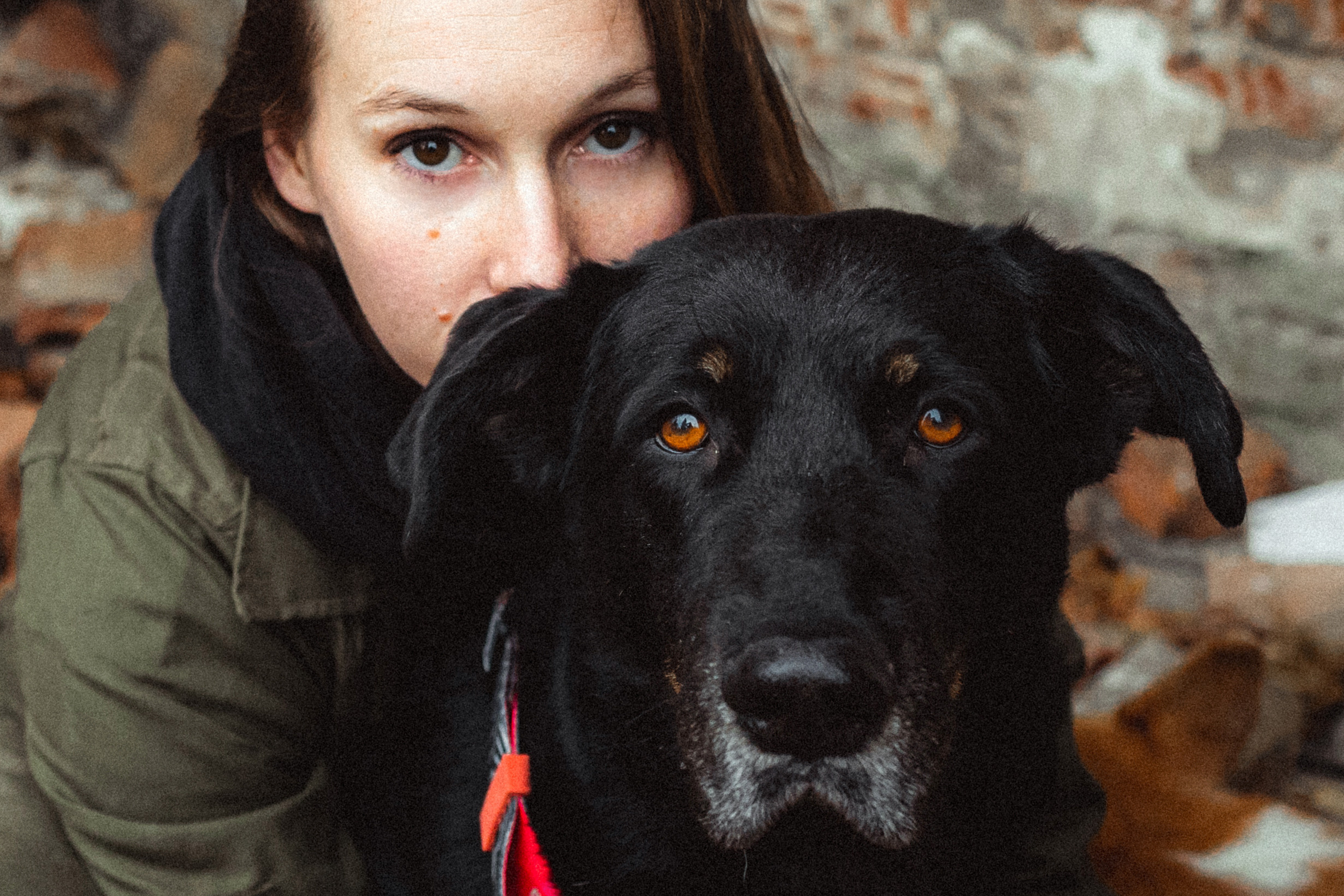 Алена, Фелек и Камю