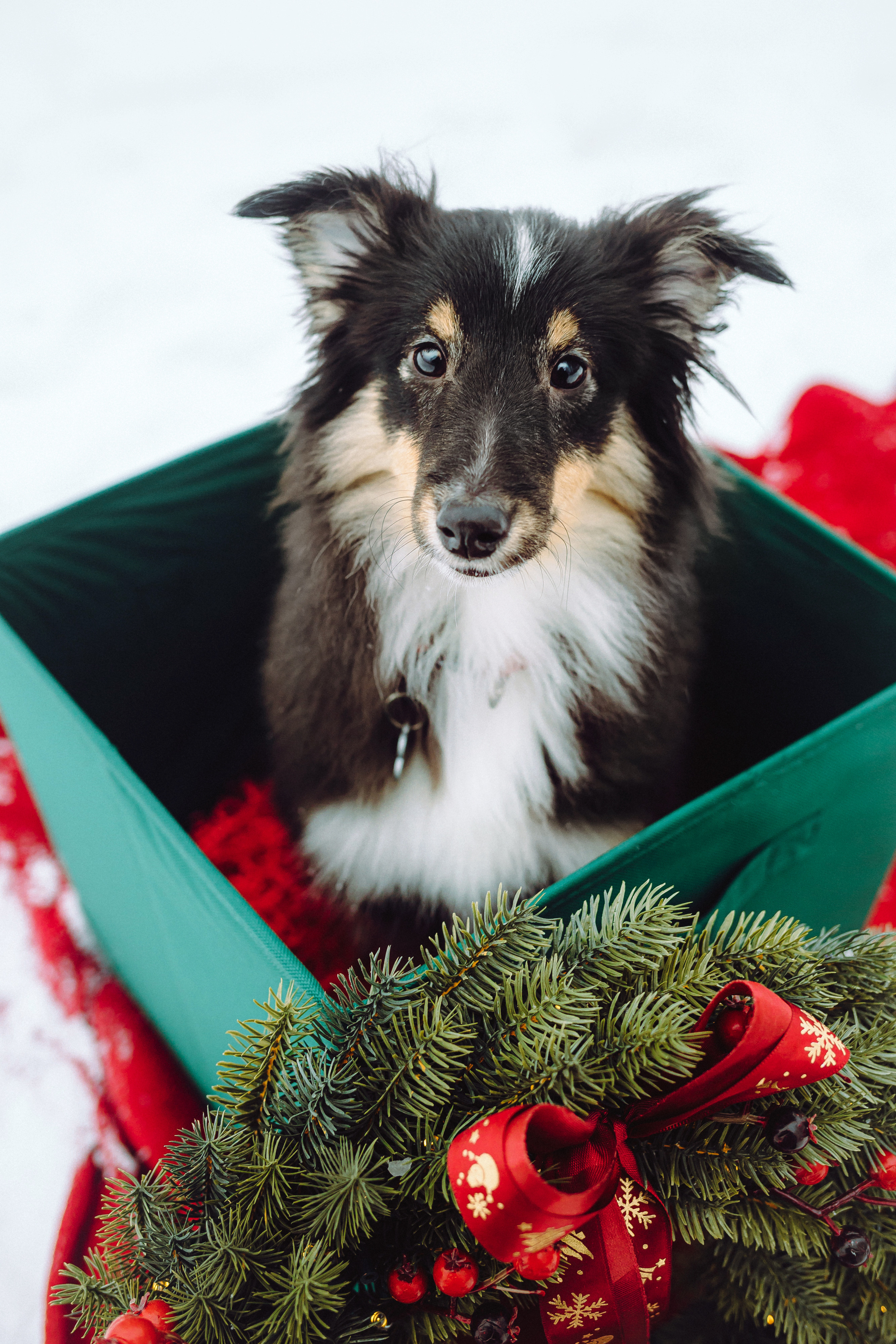 Джим, Лила и их семья