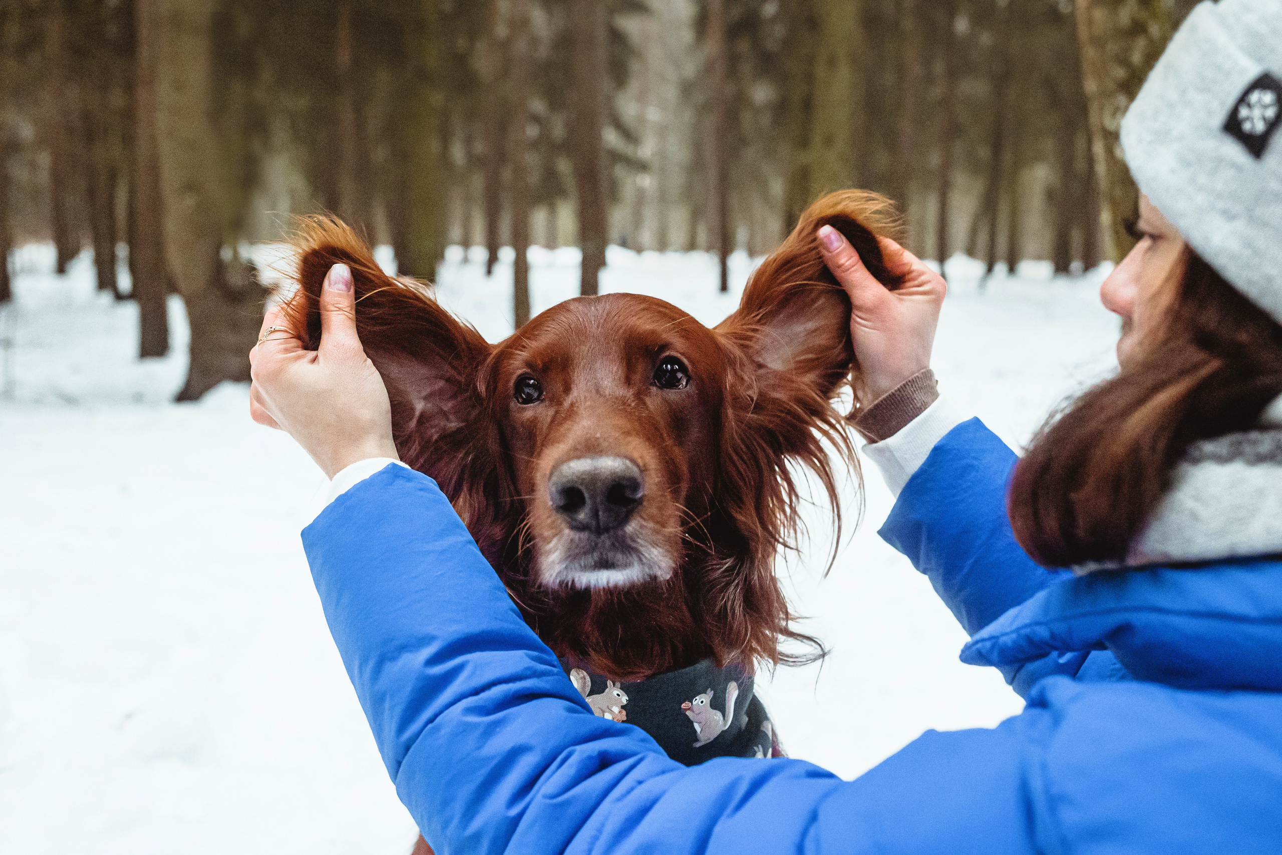 День Рождения Джерри