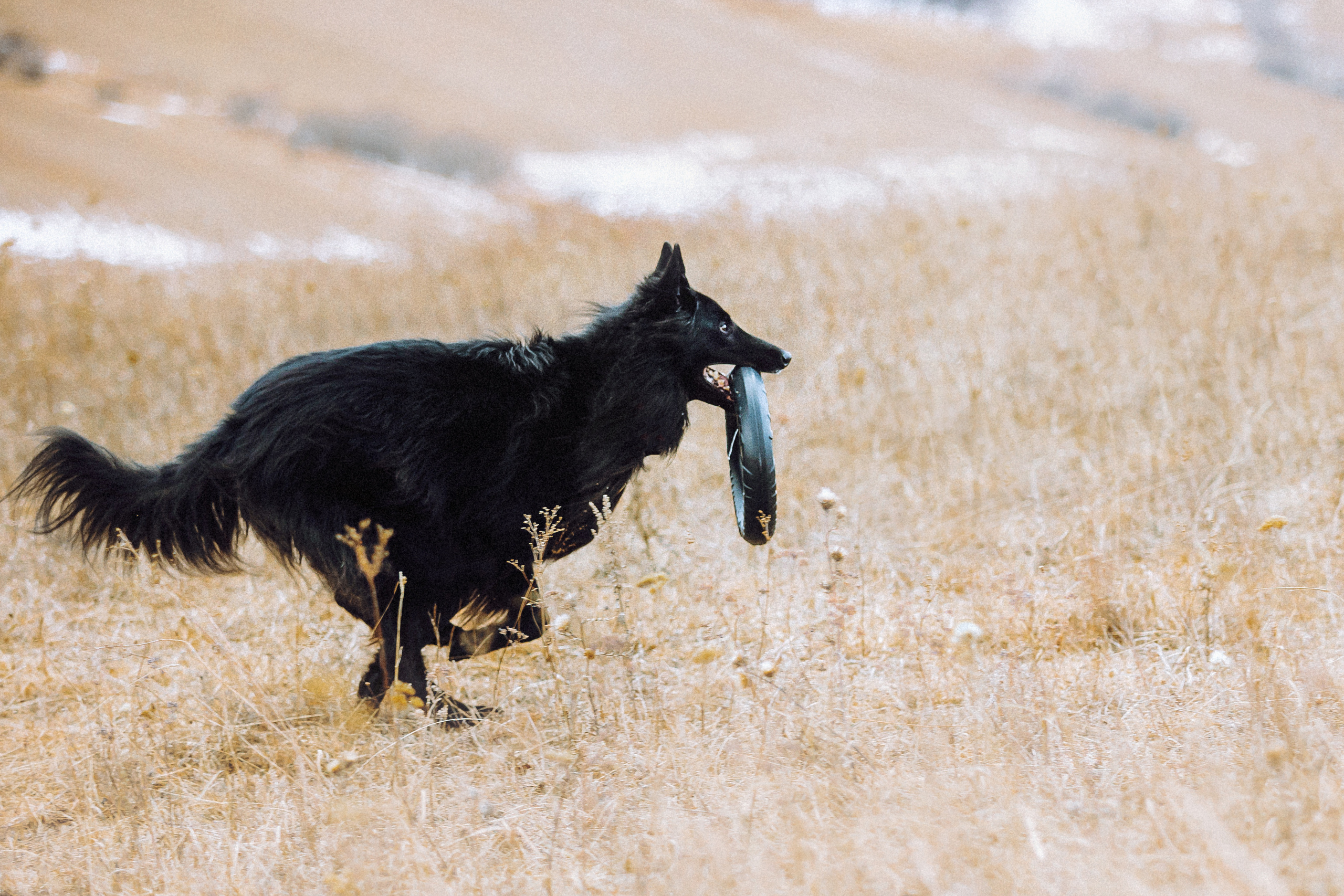 Йаррхи, Антар и их семья