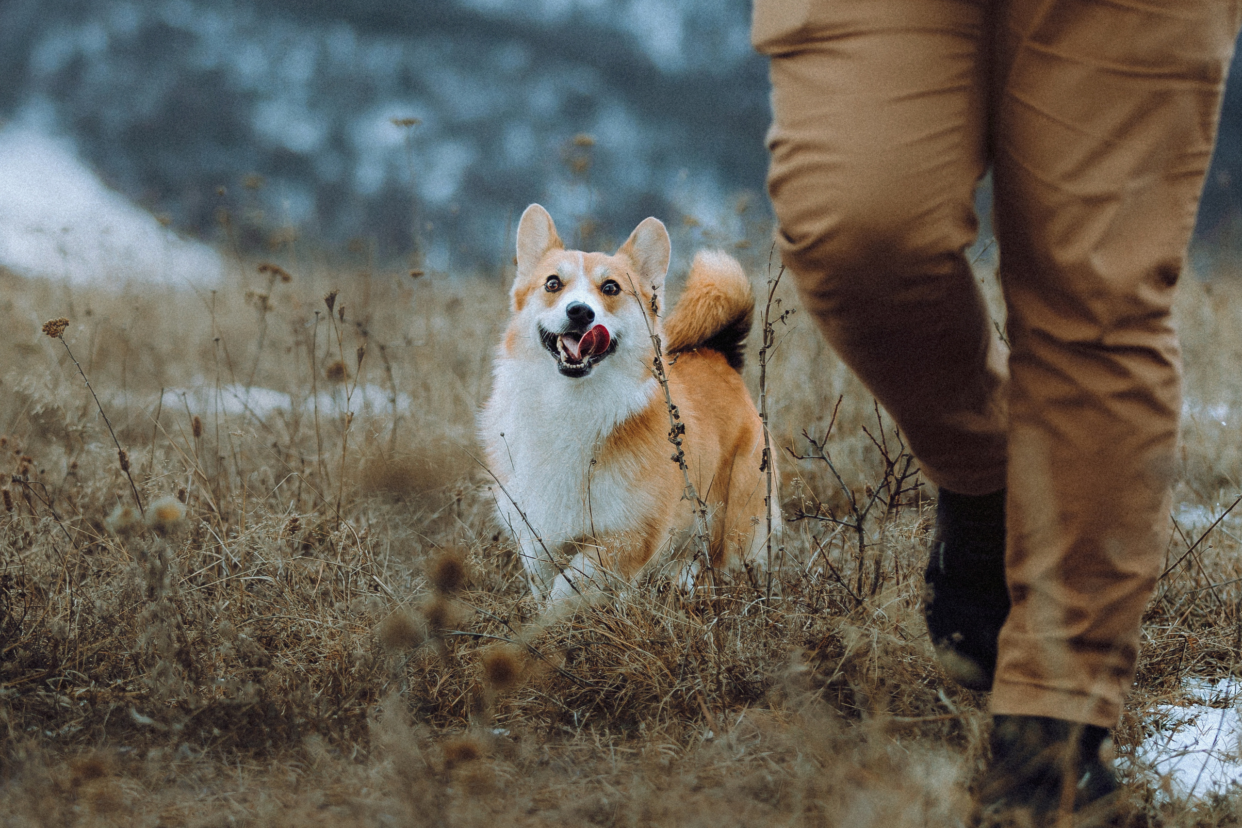 Маша, Женя и Дийкстра