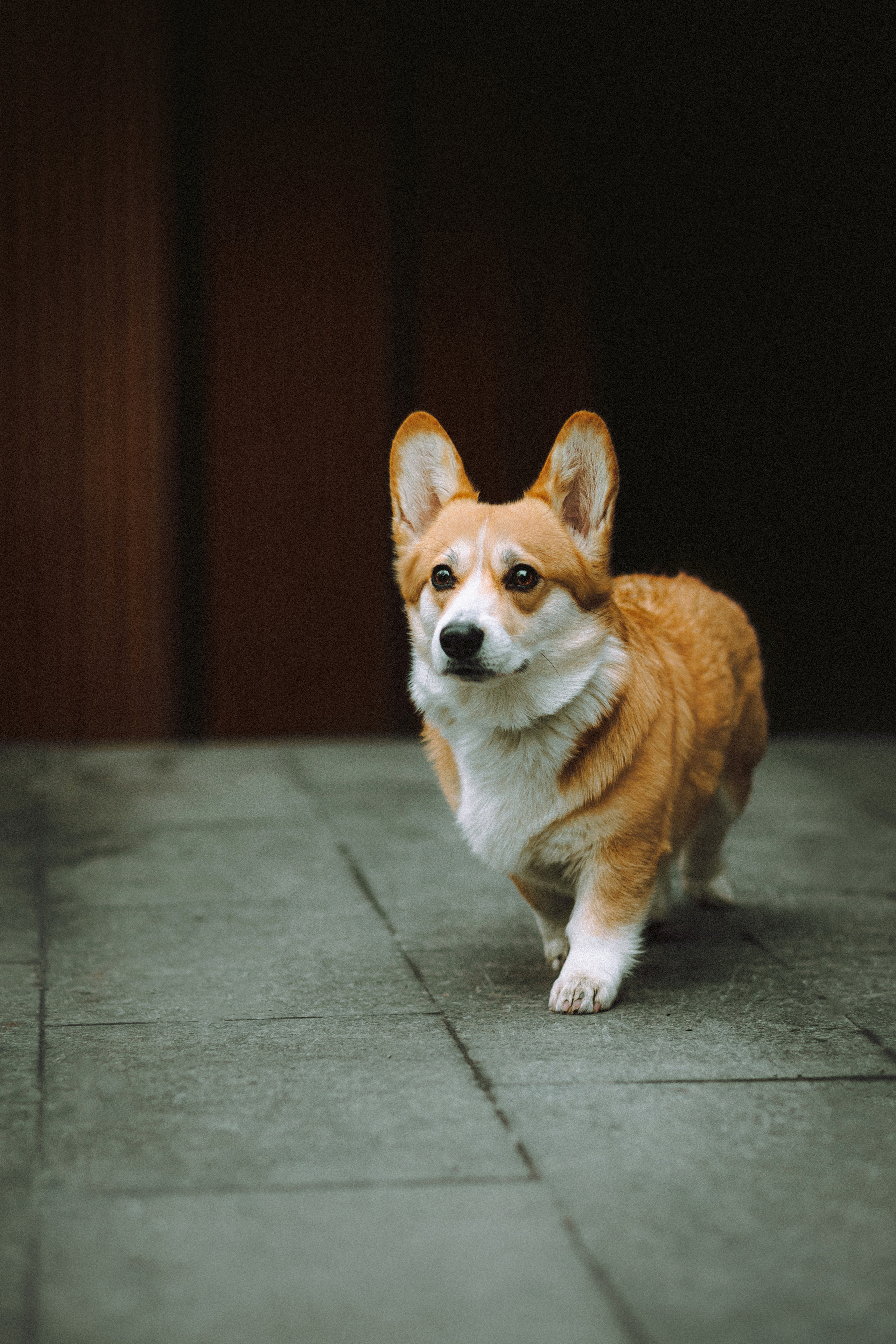 Настя и Ева