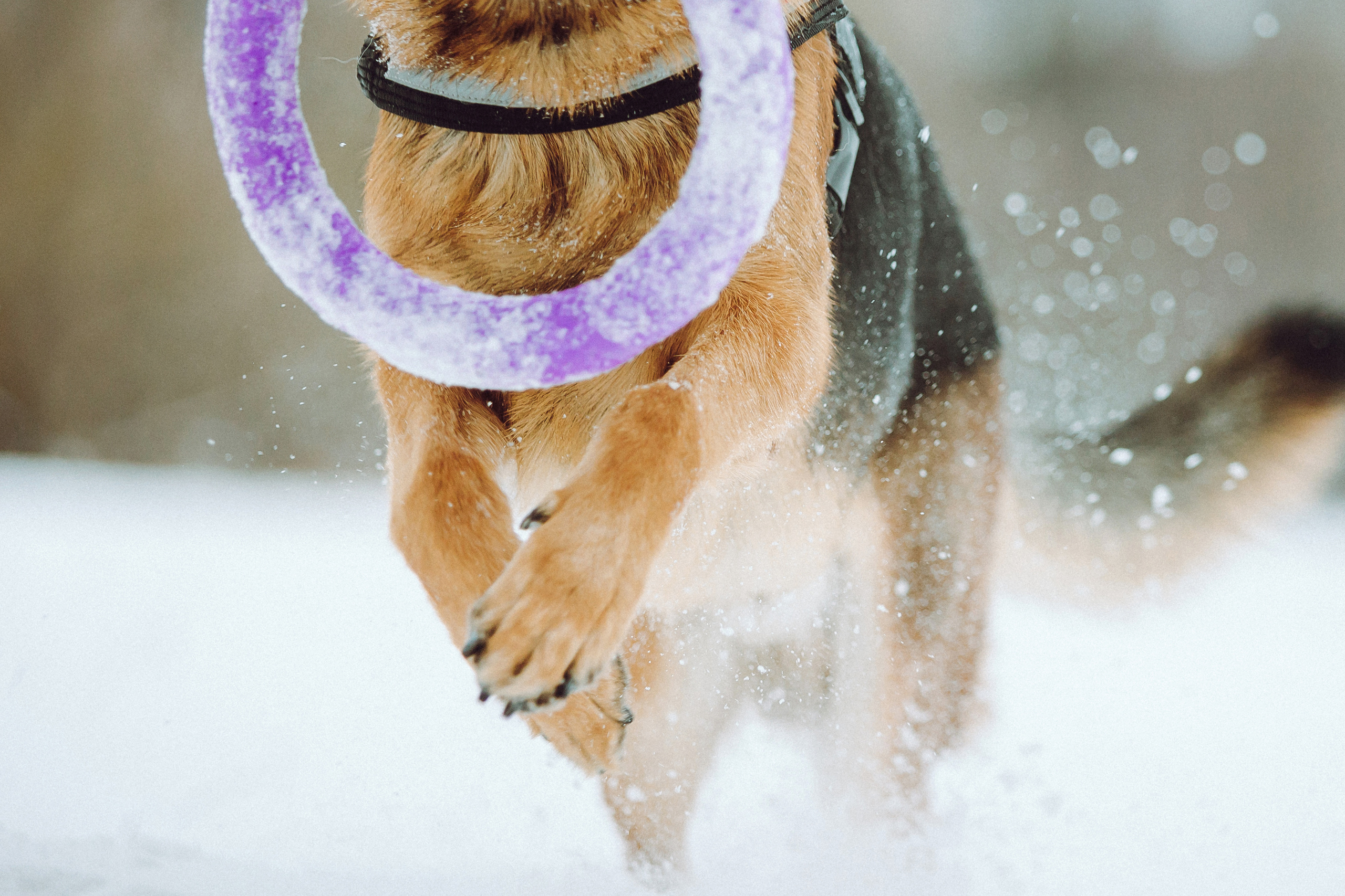 Джим, Лила и их семья