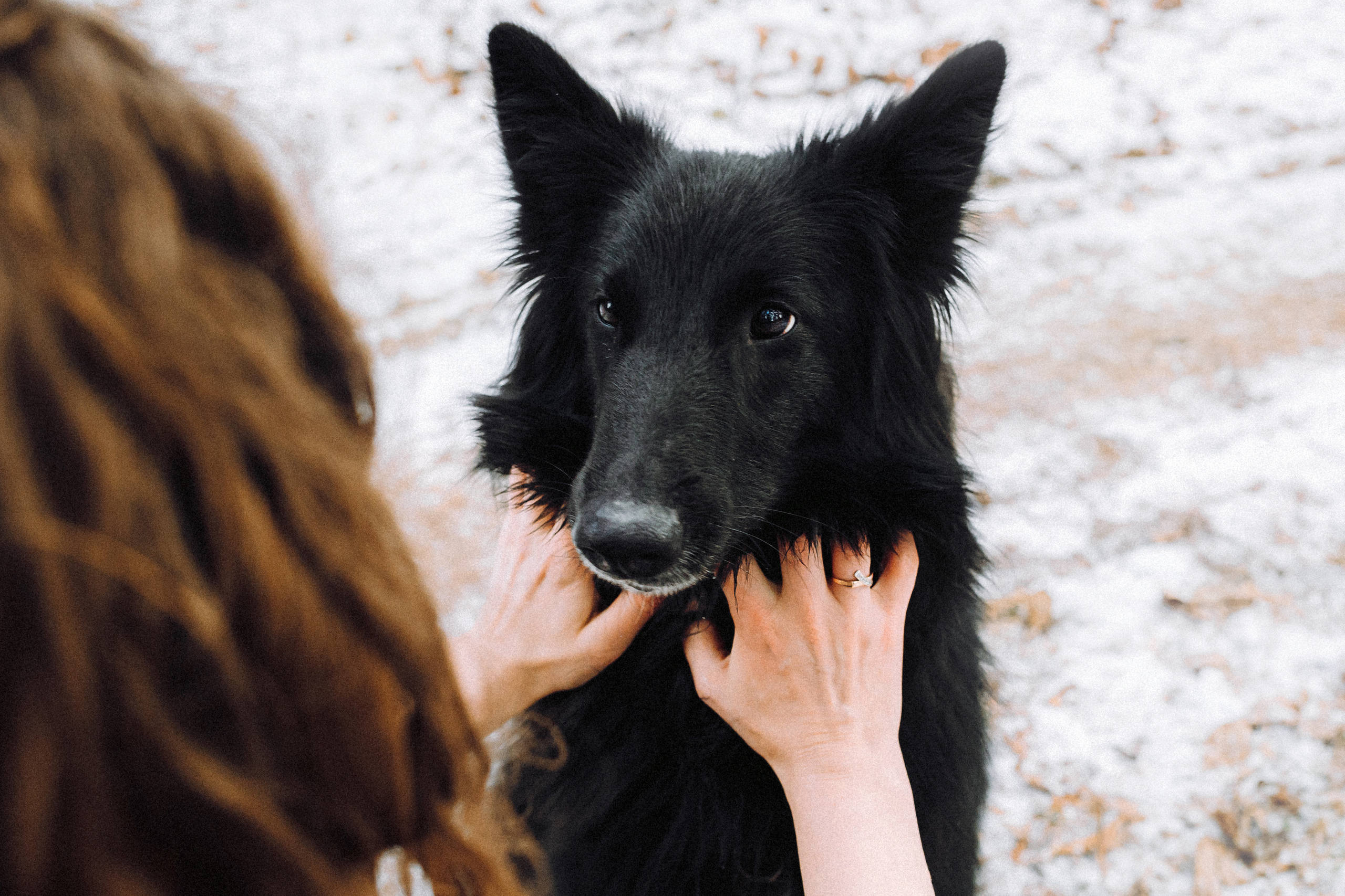 Настя и Сага