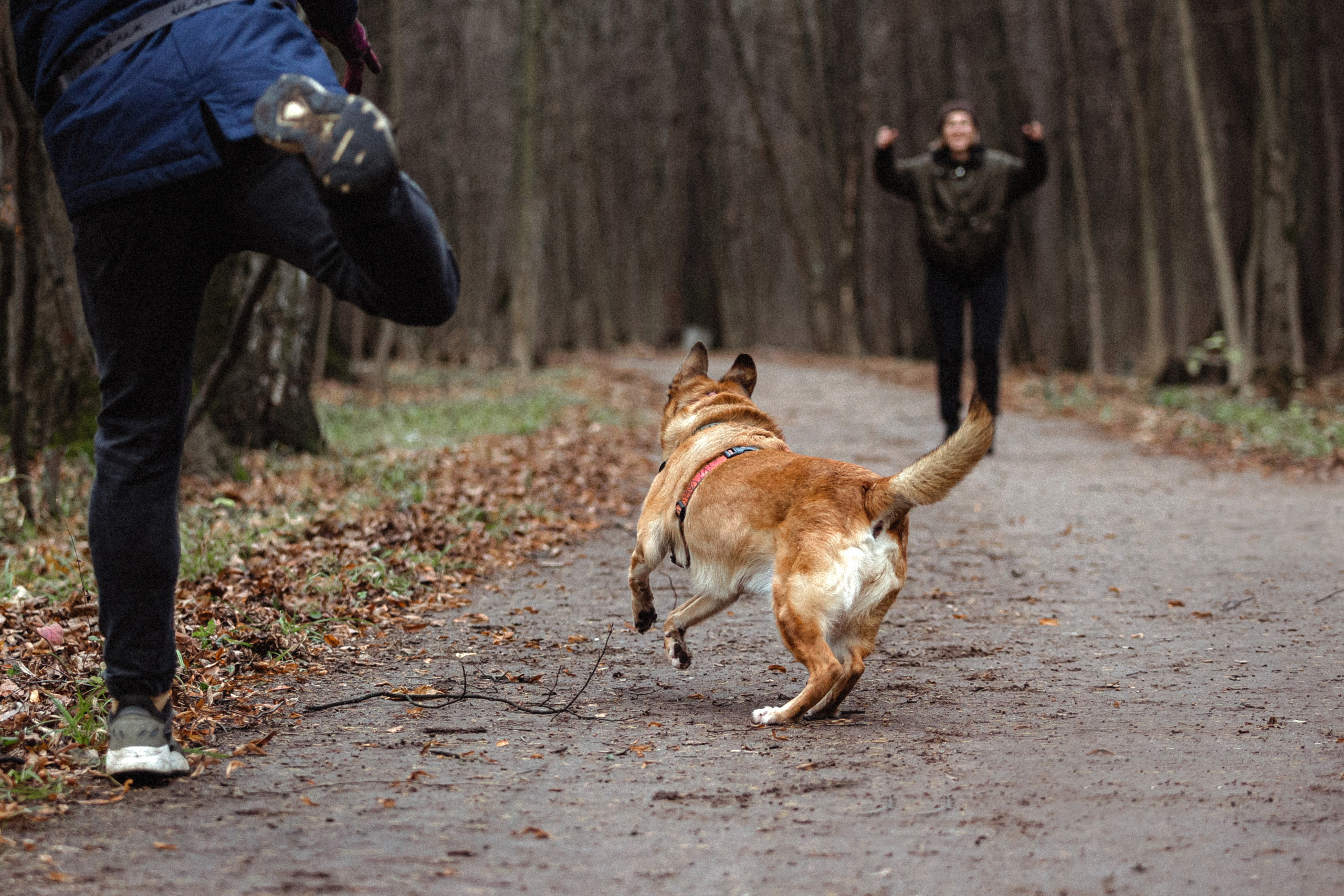 Лика и ее семья