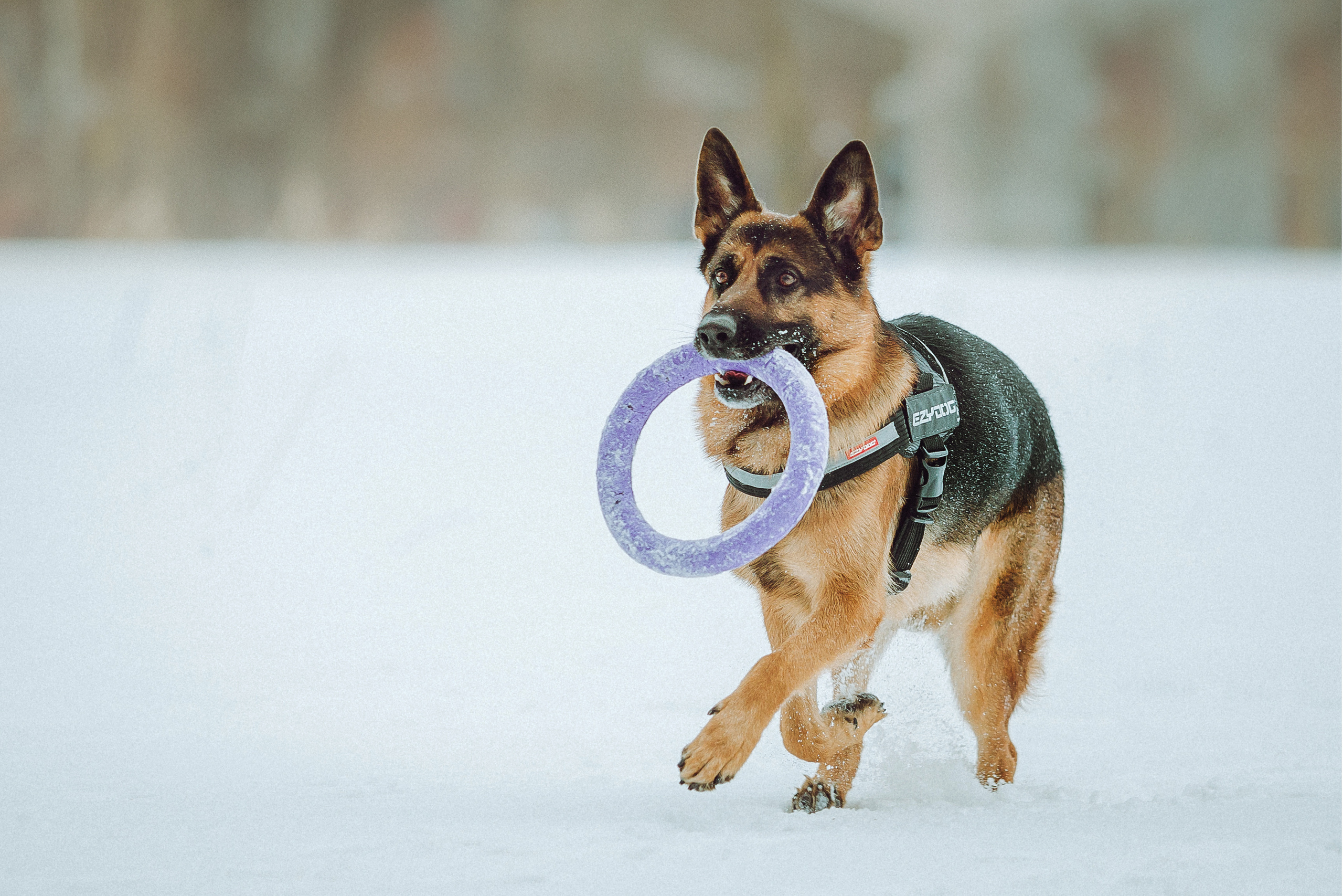 Джим, Лила и их семья