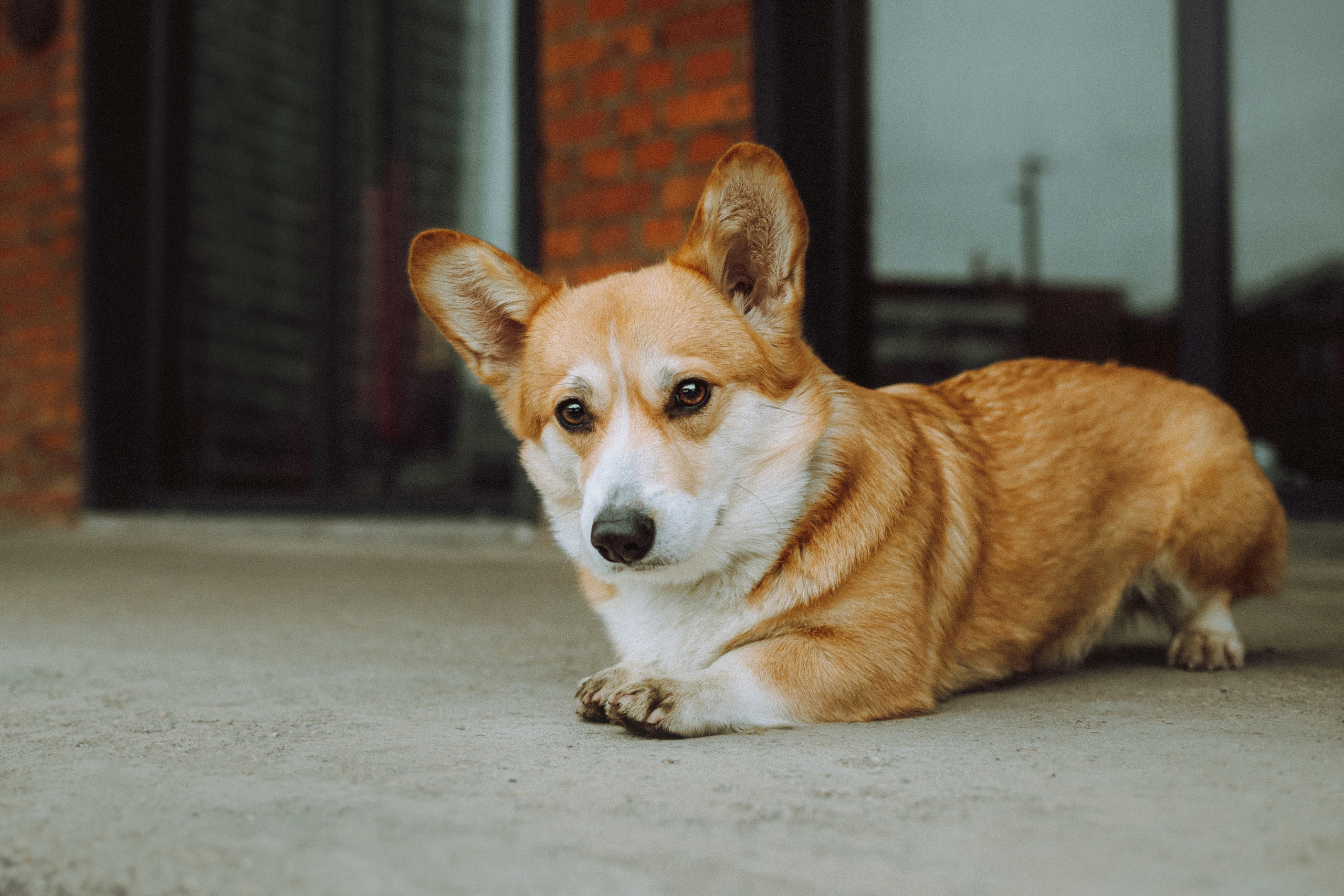 Настя и Ева