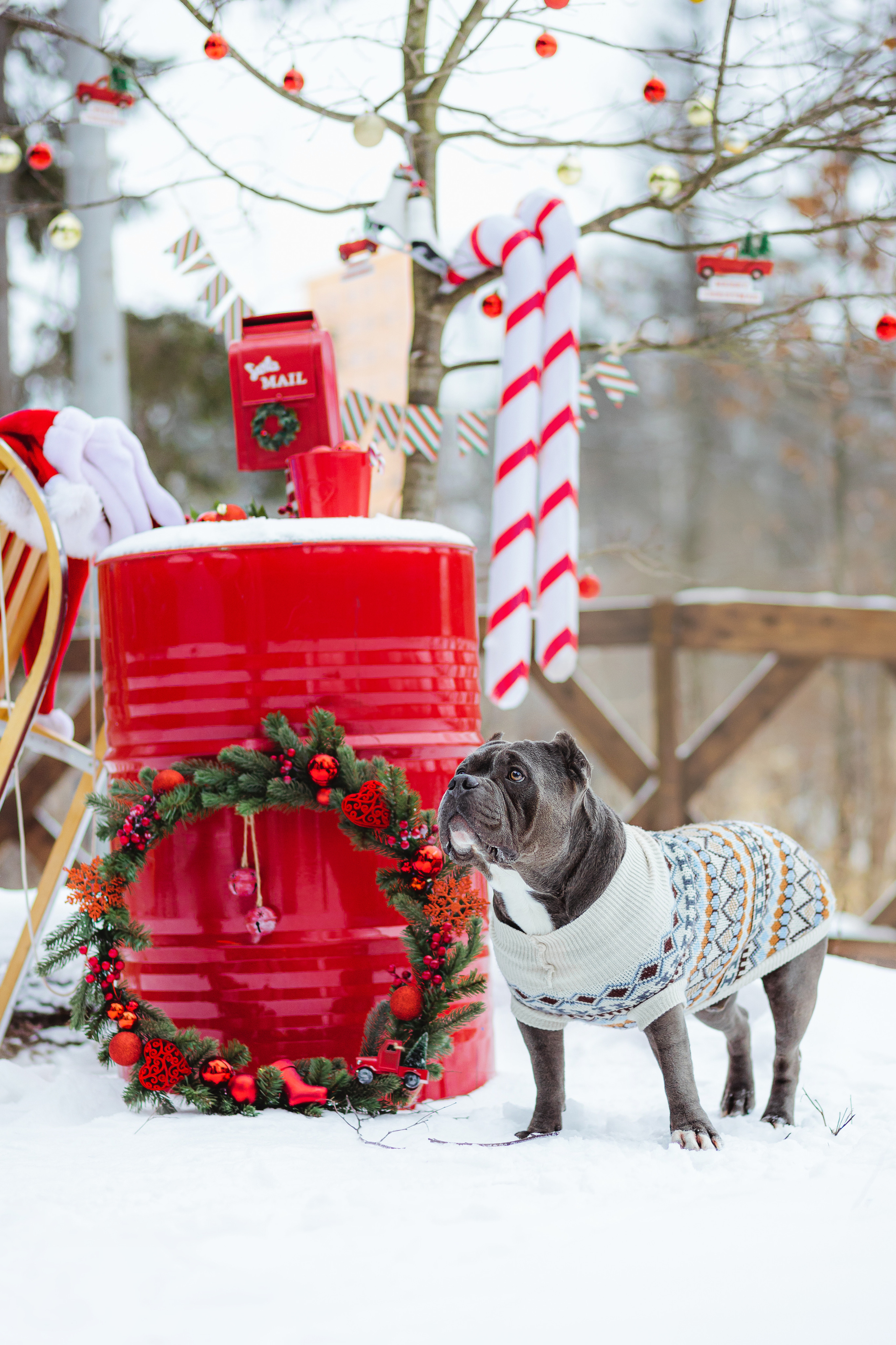 Маша и Халк