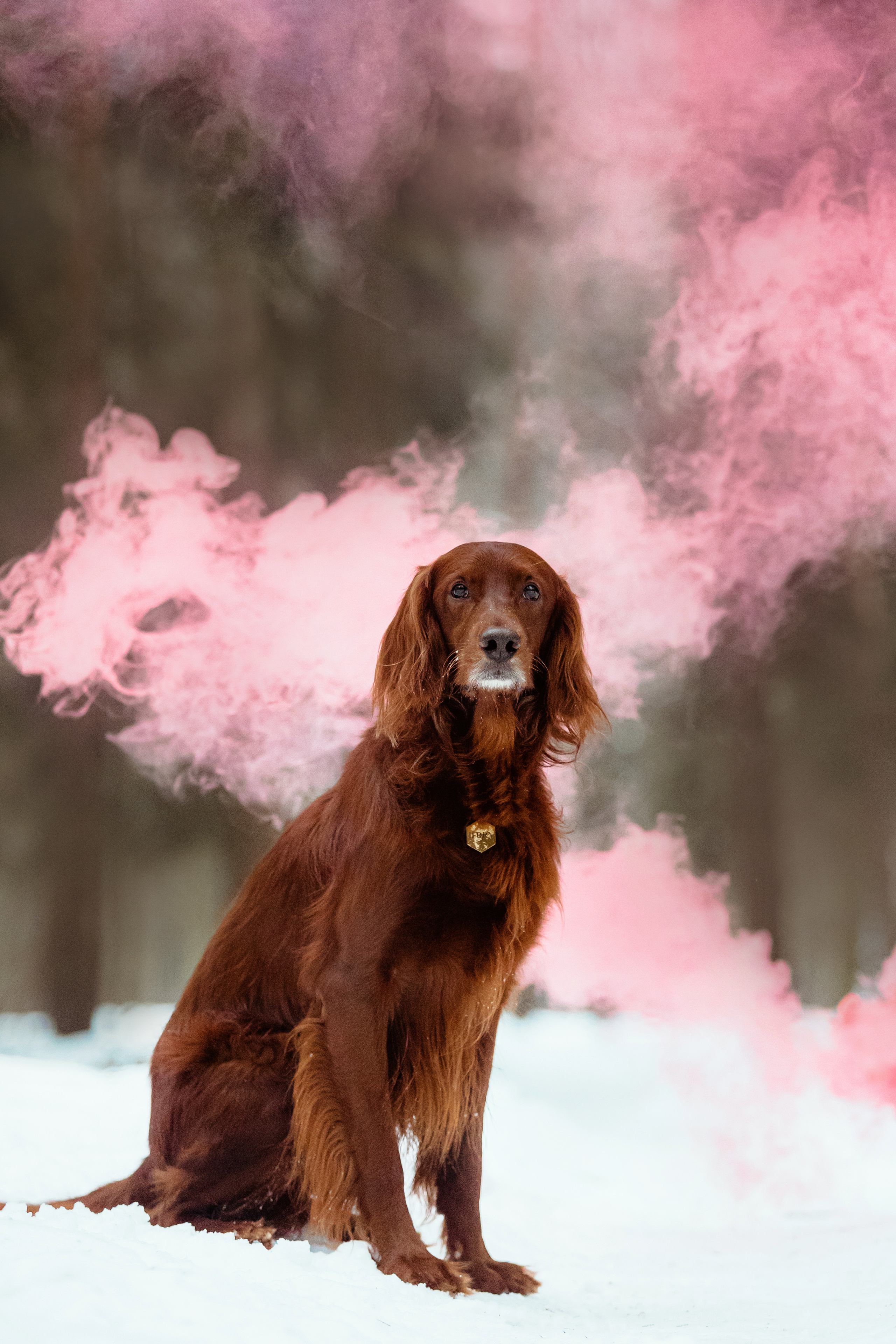 День Рождения Джерри