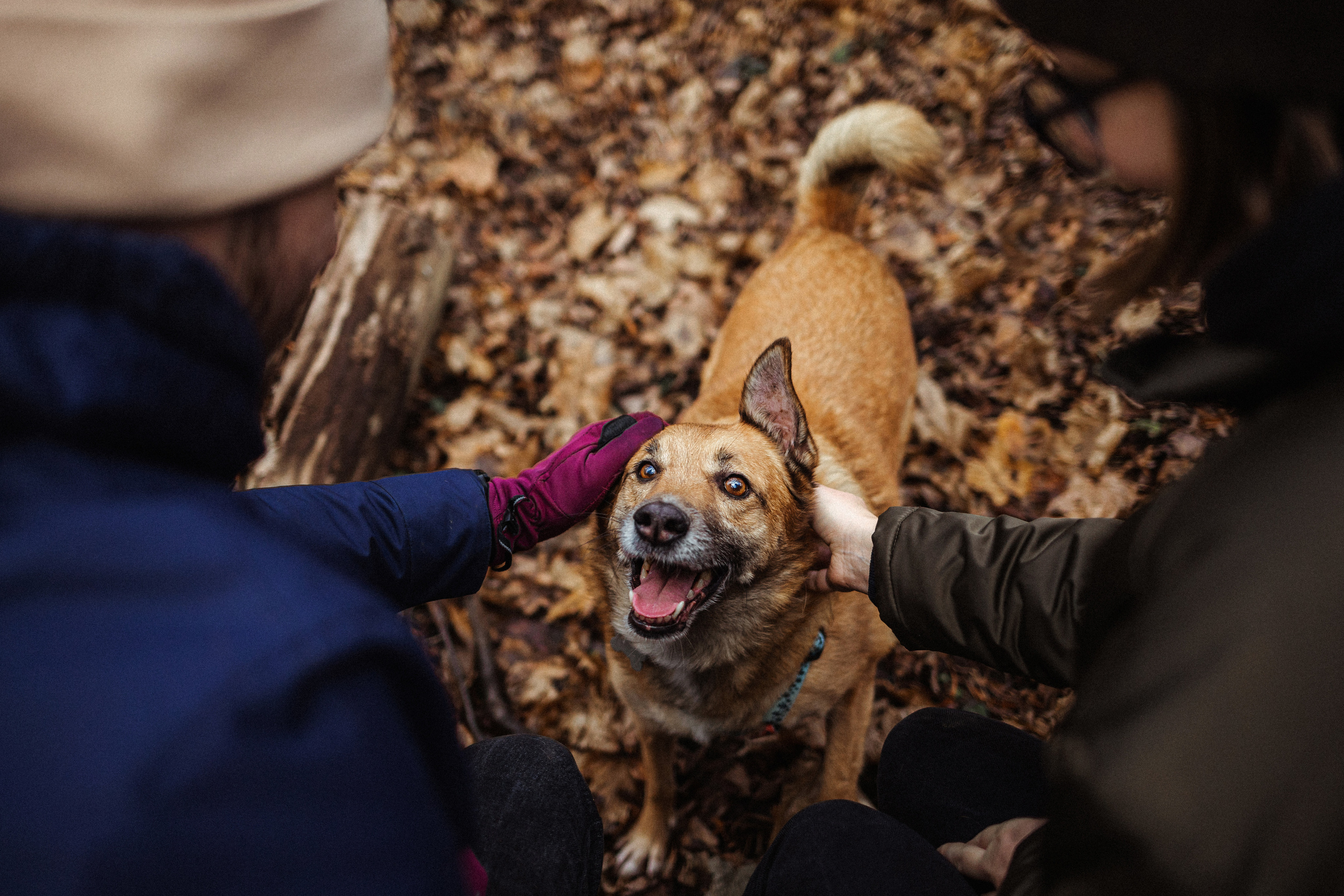 Лика и ее семья