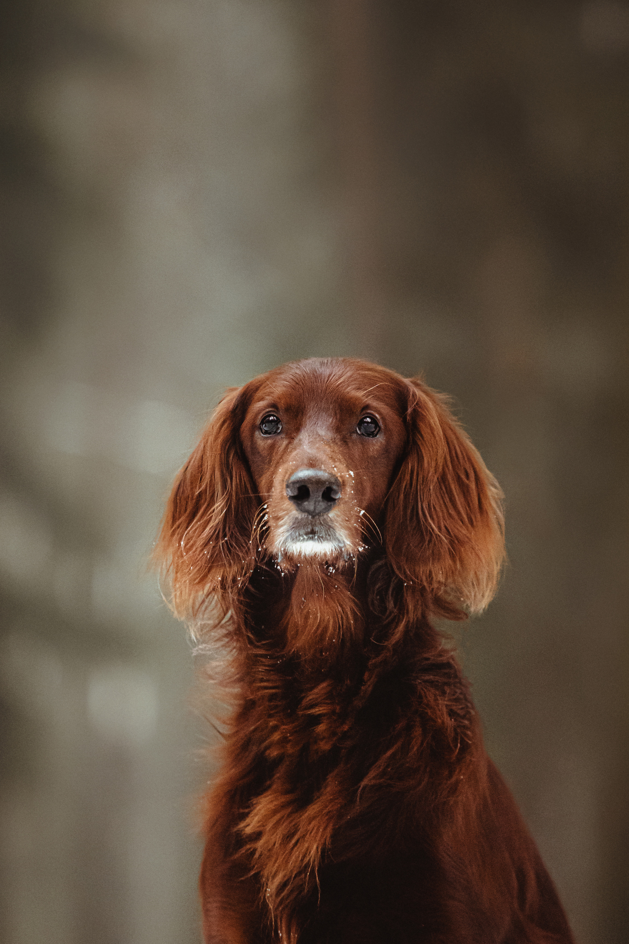 День Рождения Джерри