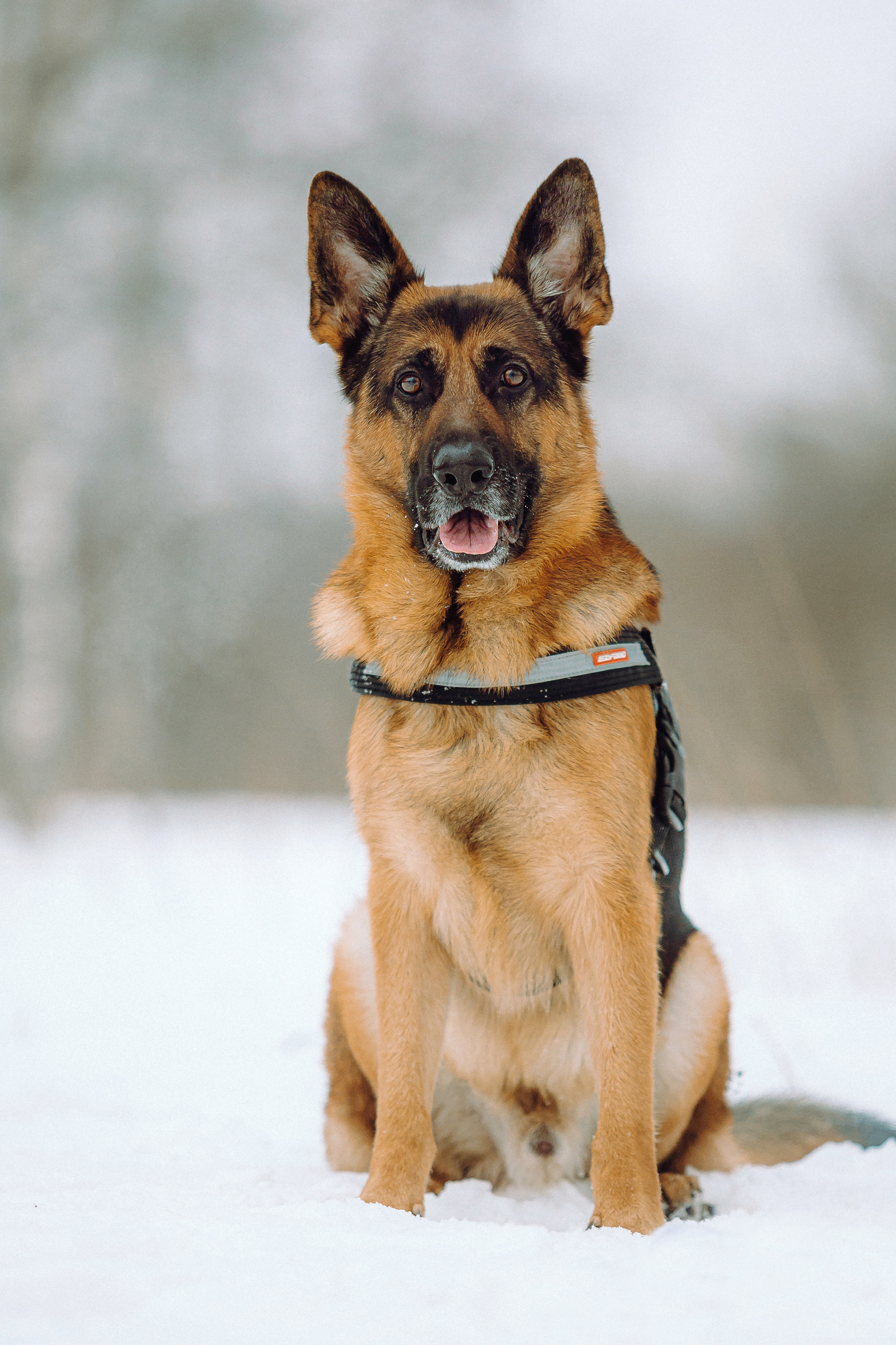 Джим, Лила и их семья