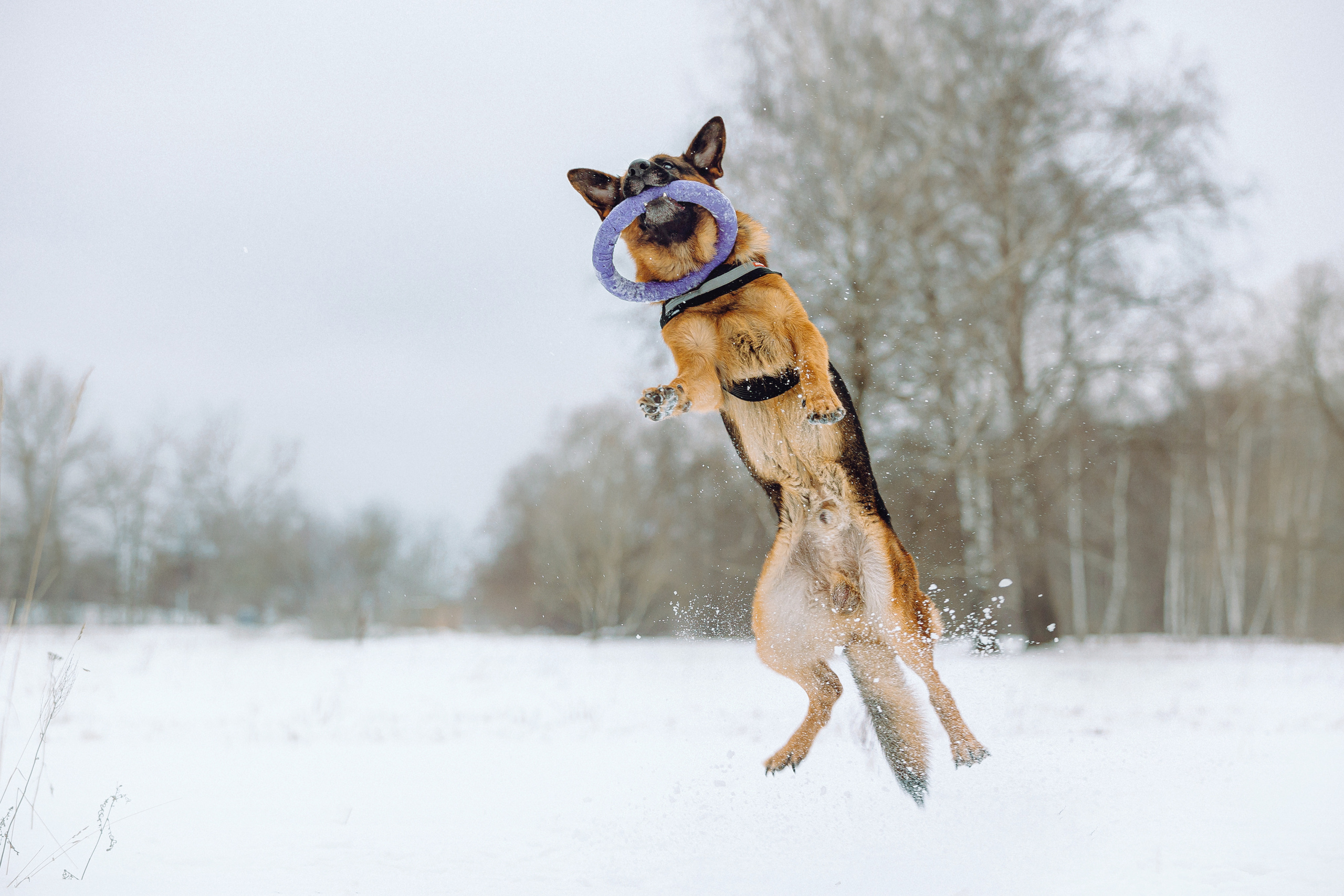 Джим, Лила и их семья