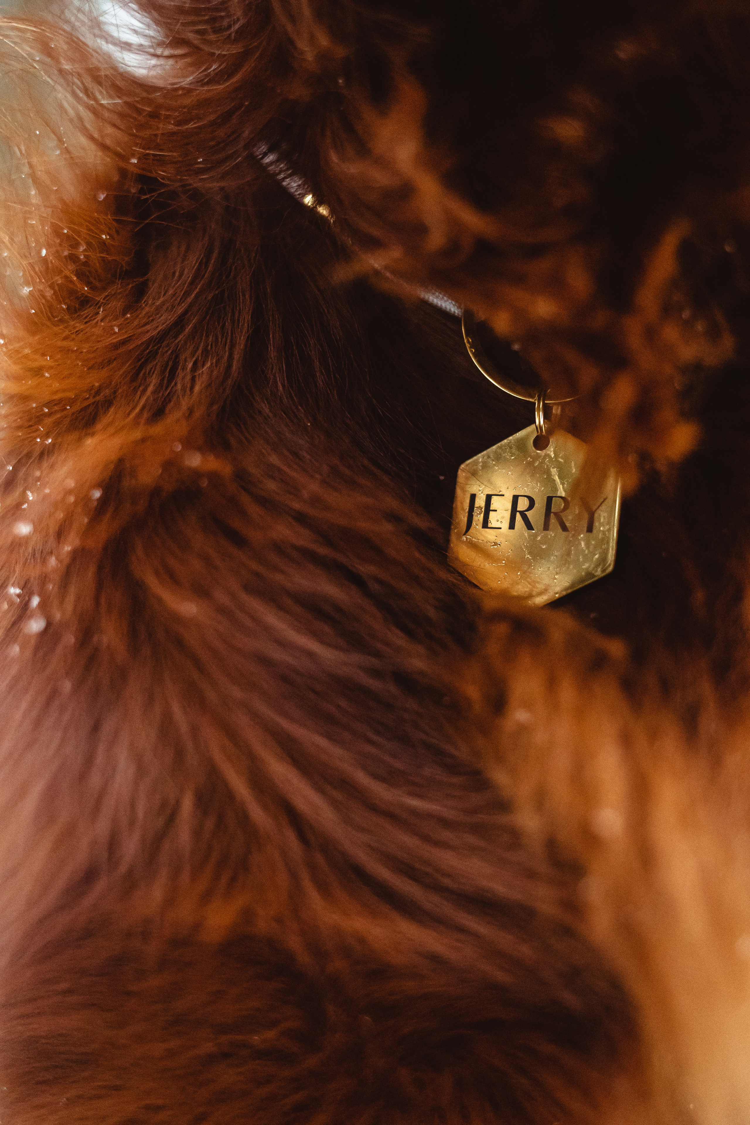 День Рождения Джерри