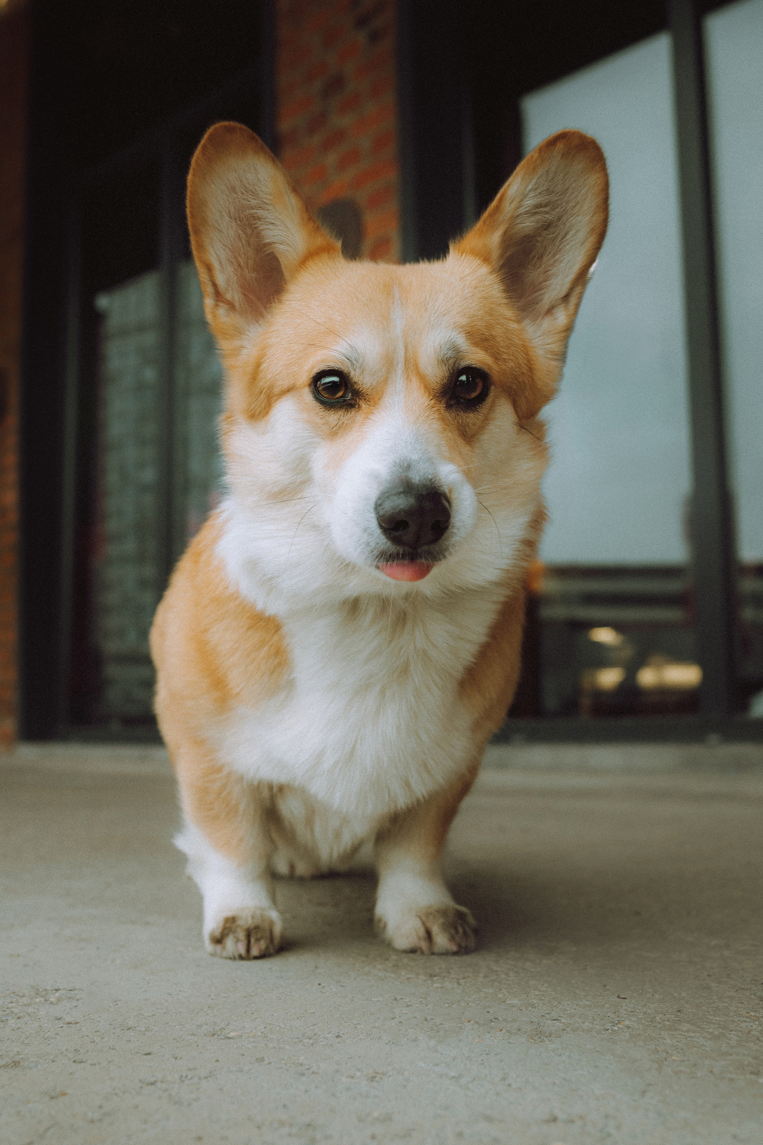 Настя и Ева