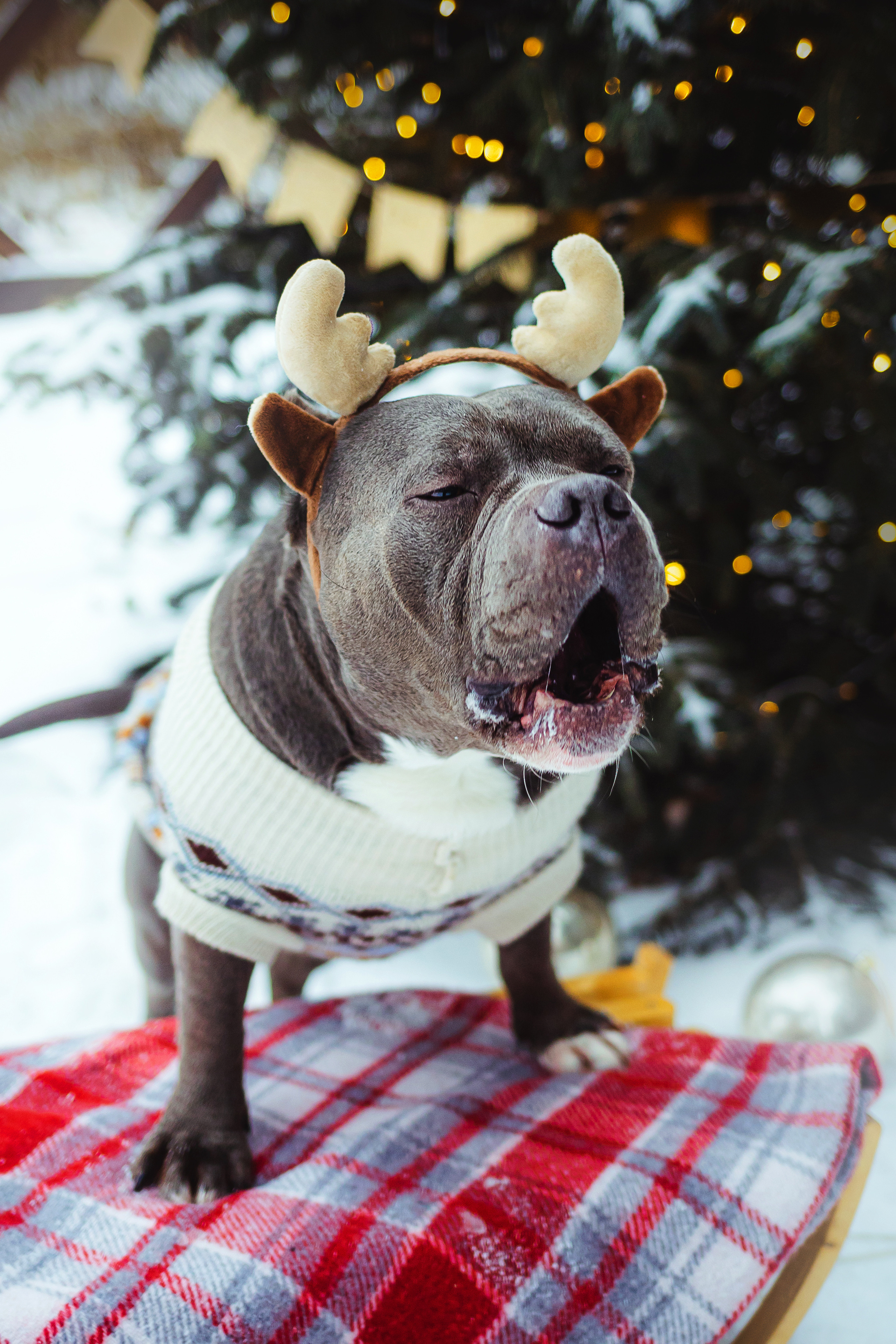 Маша и Халк