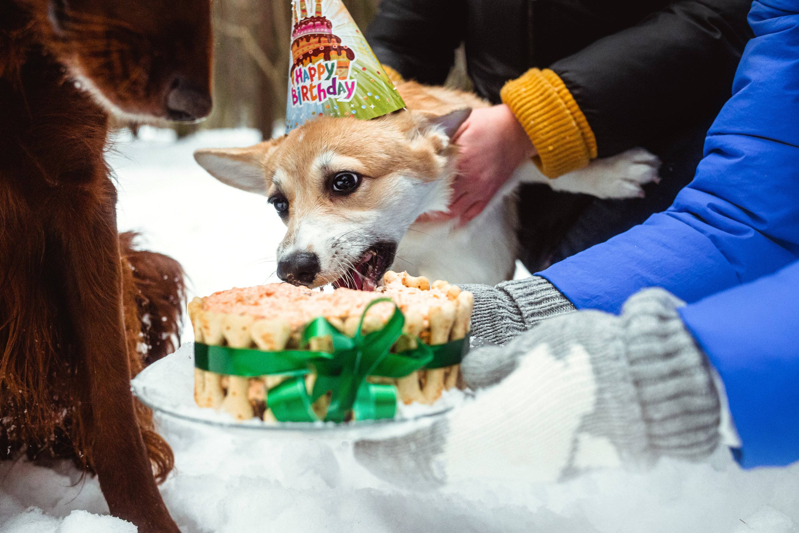 День Рождения Джерри