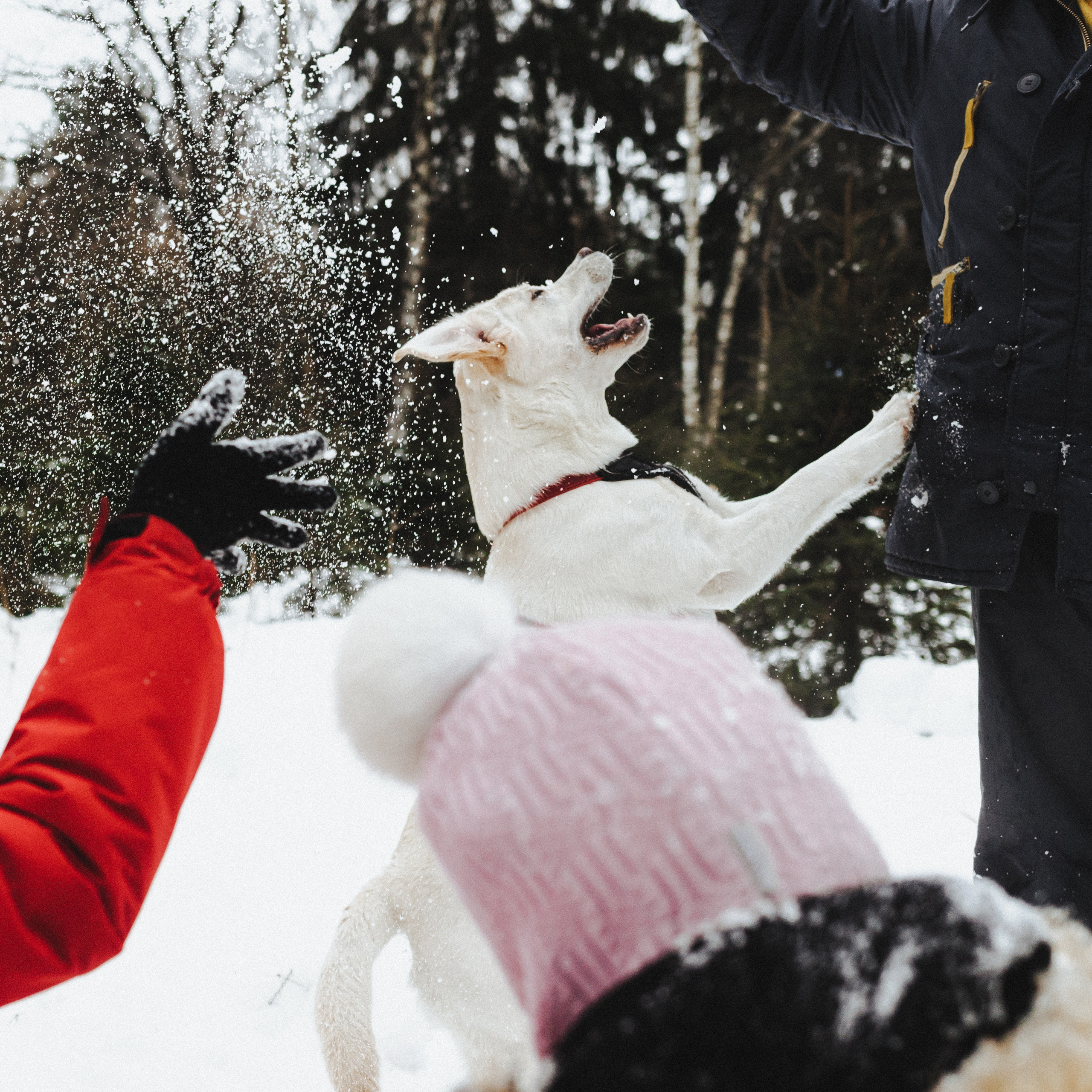 Челси и ее семья
