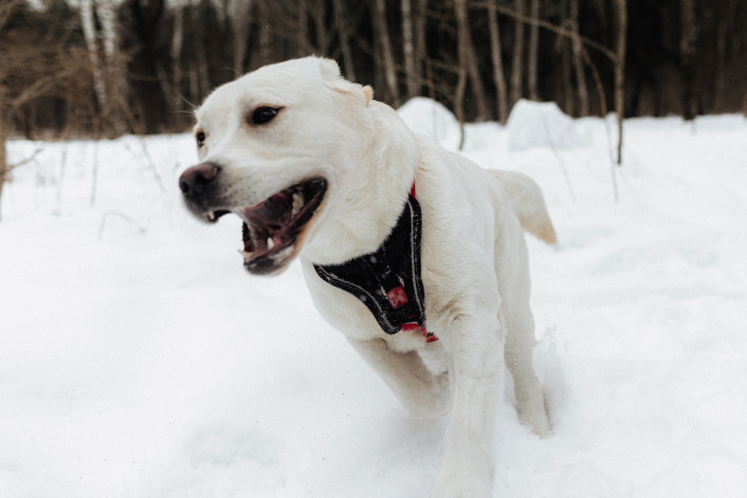 Челси и ее семья