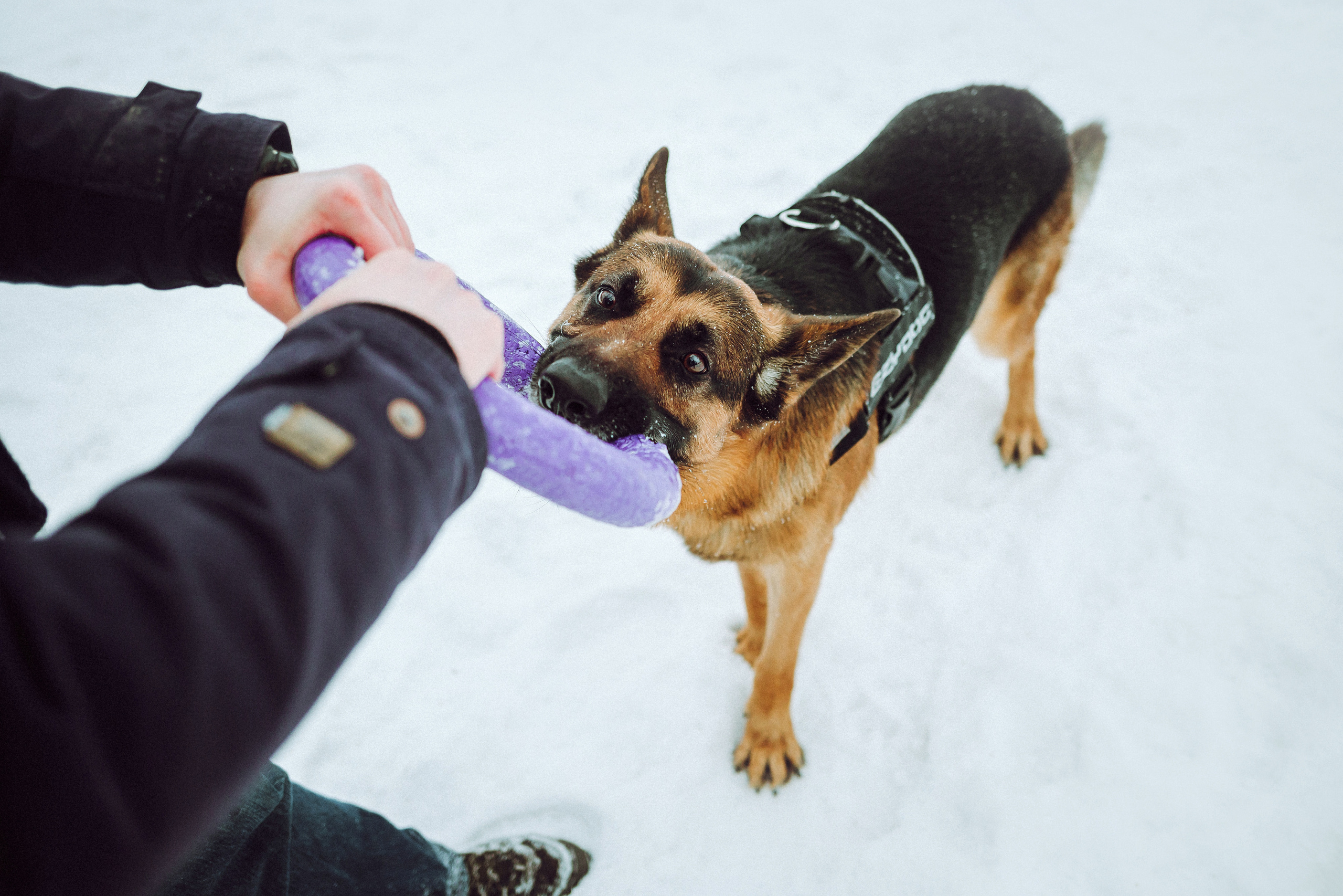Джим, Лила и их семья