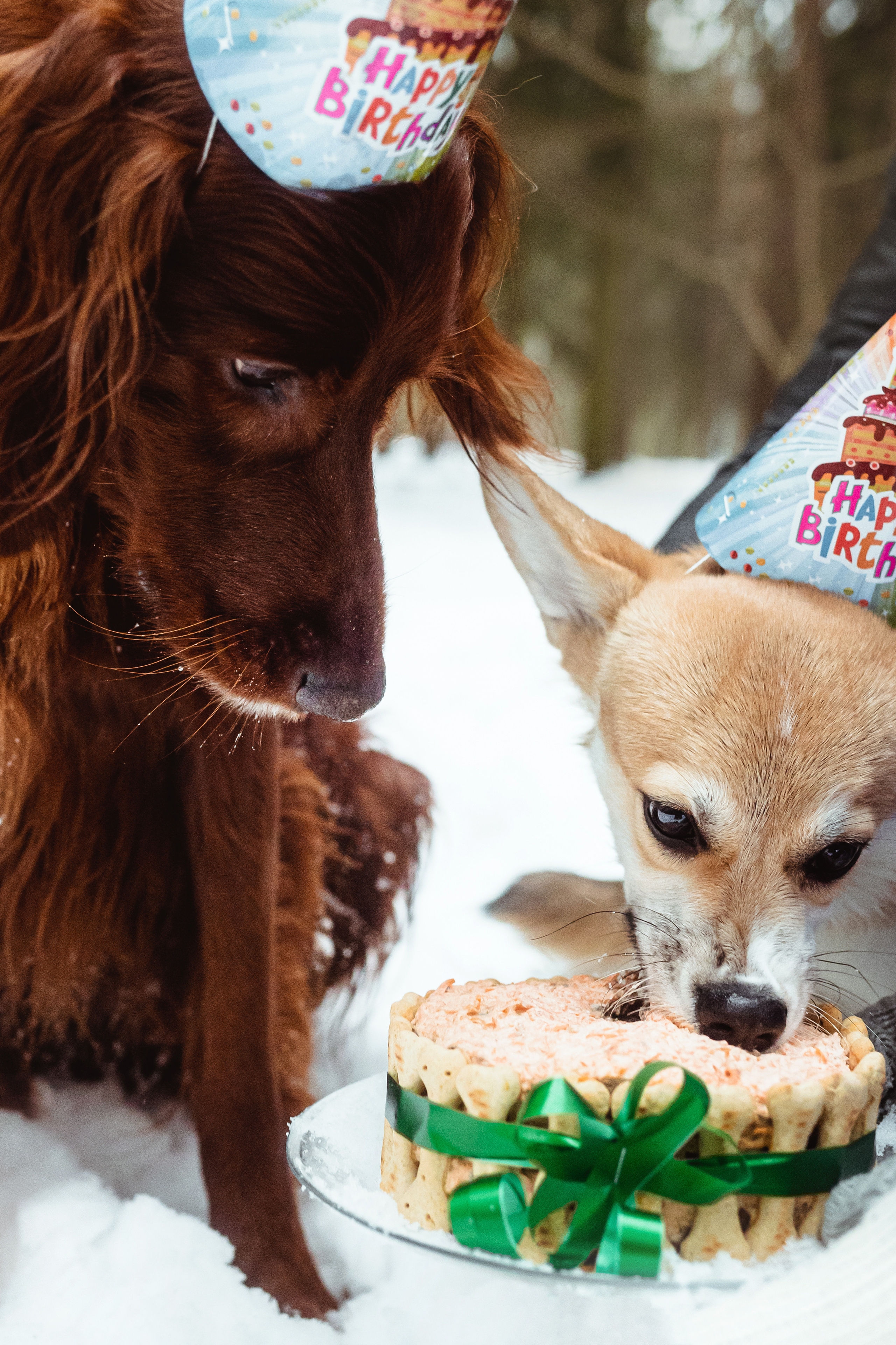 День Рождения Джерри